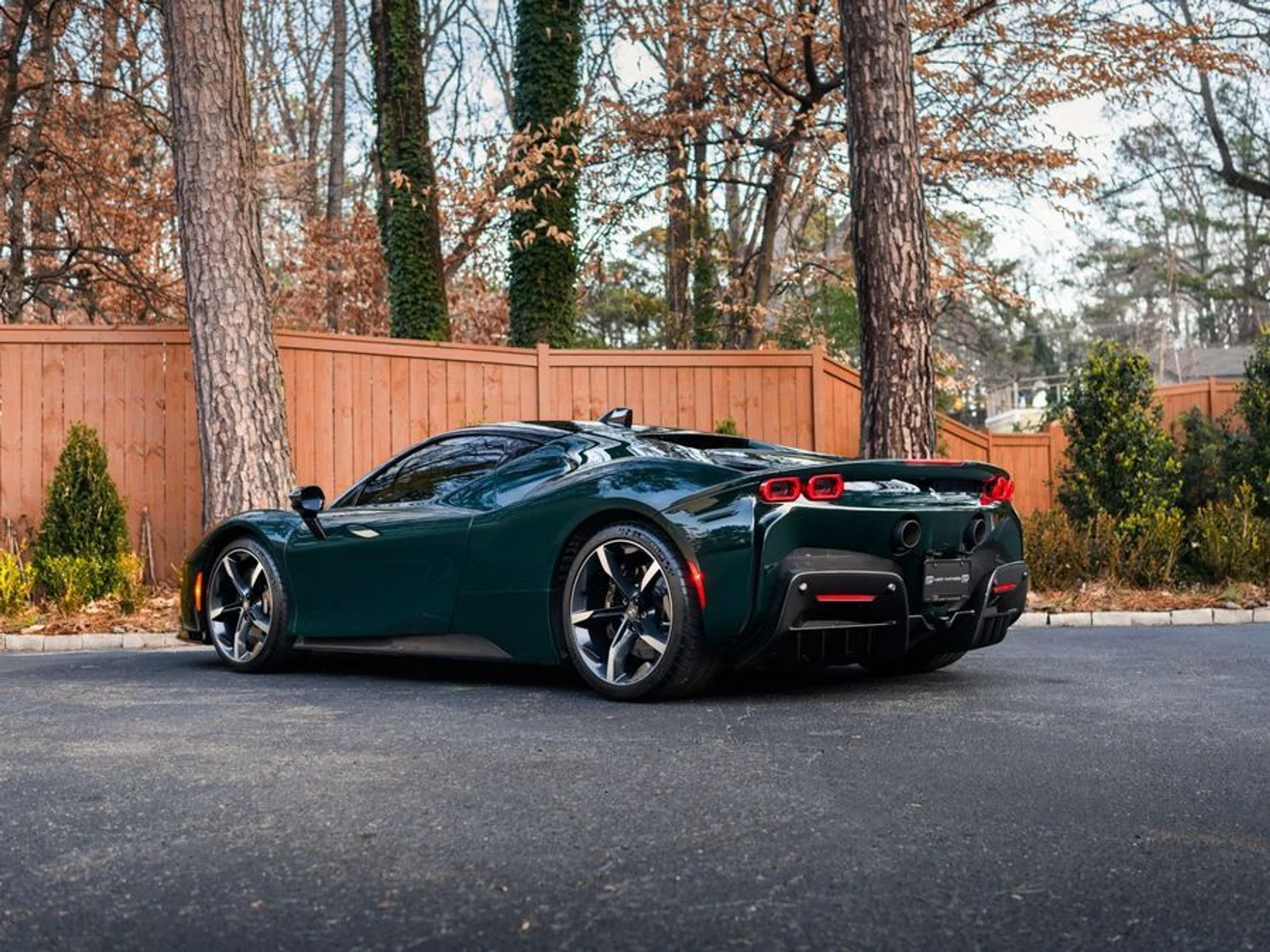 mph005_537748906_bc0fc254_b03f_4b84_a850_ccdb852ae9c0_7229eb82bb