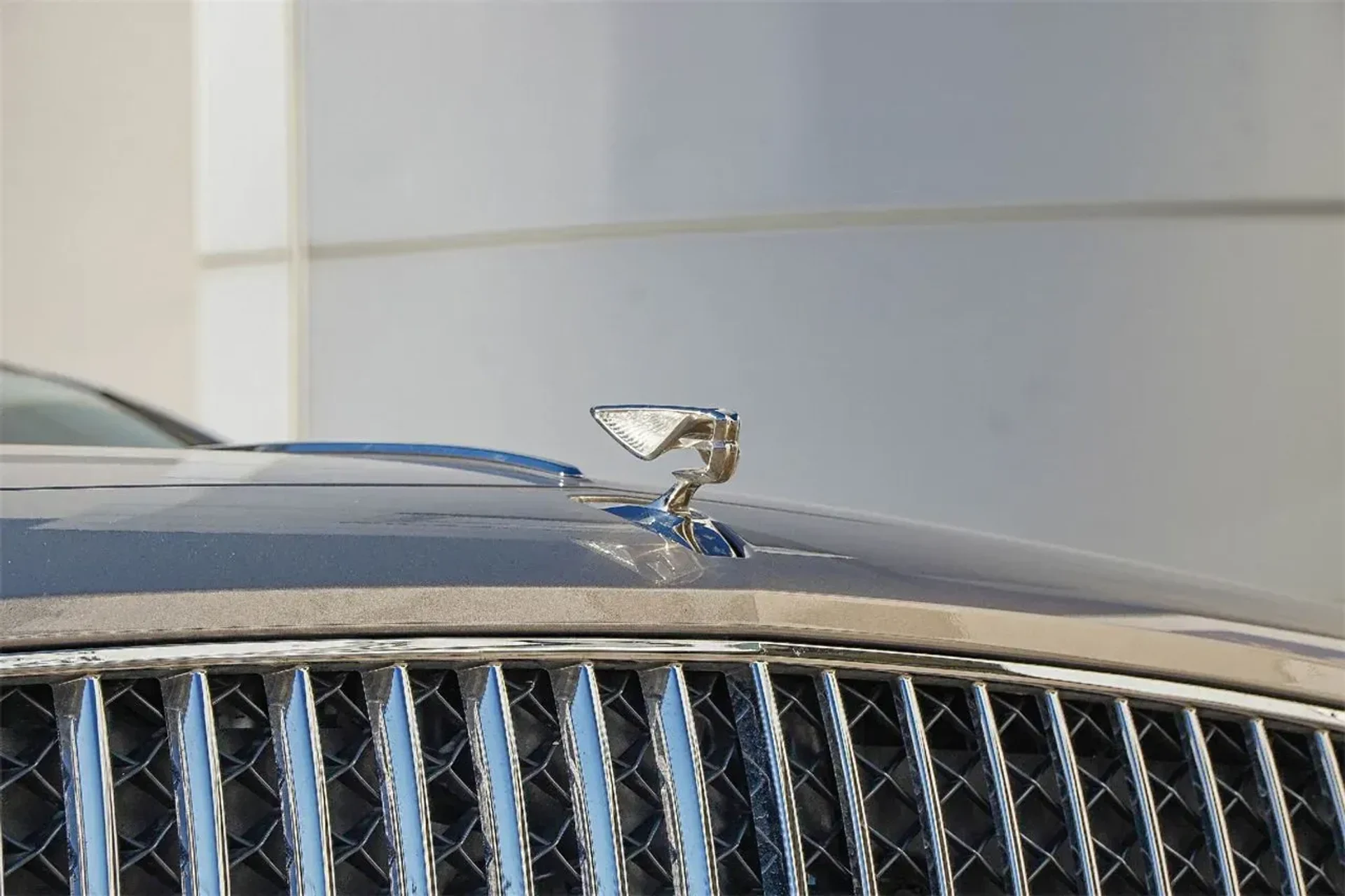 mph005_540410788_e63c6a9e4bb449ae81e00e1c328d5217_74f46dd908