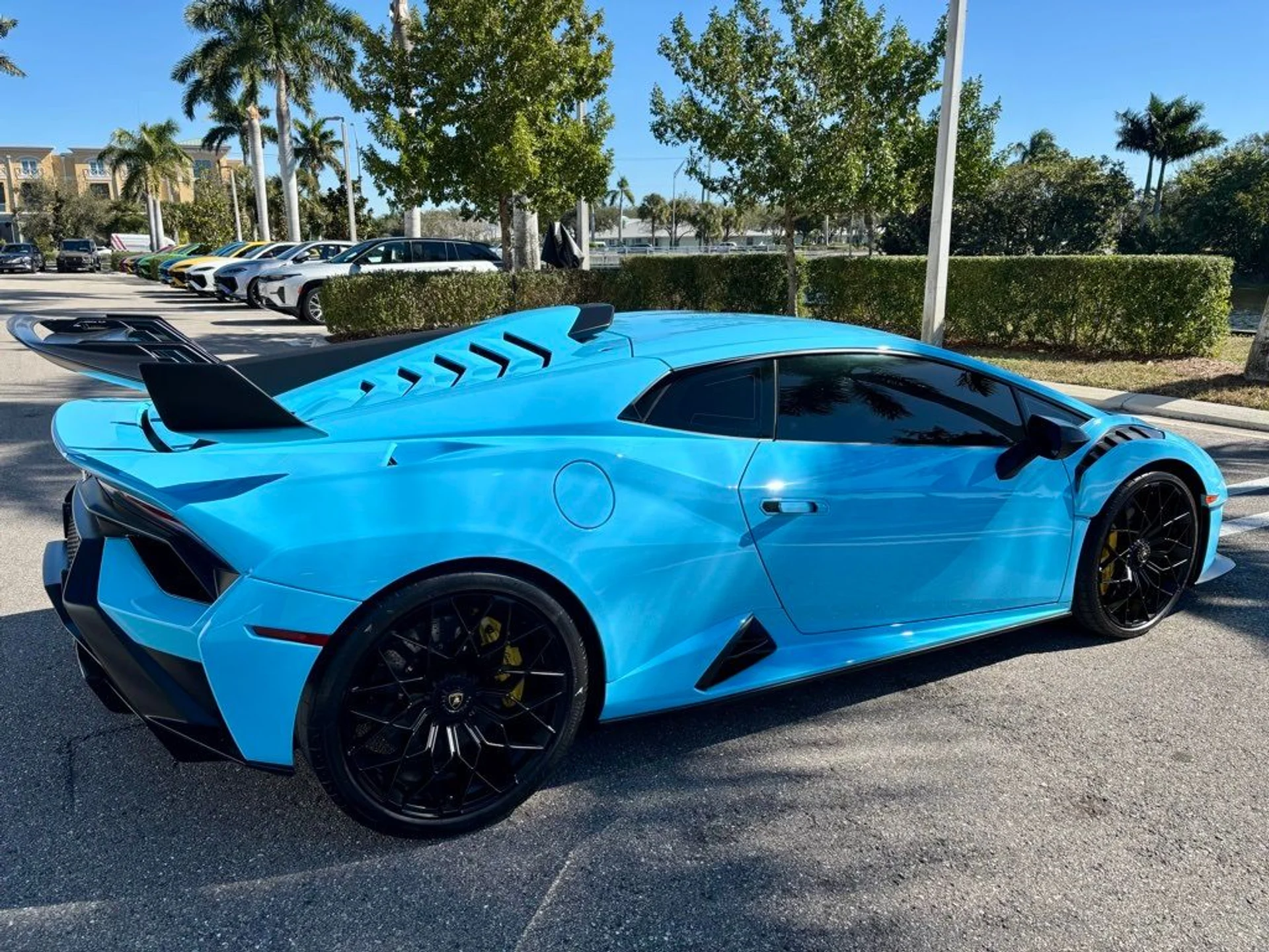 mph005_549901630_de22131e59e439e092c1a150e5e5ef0d_13d310347b