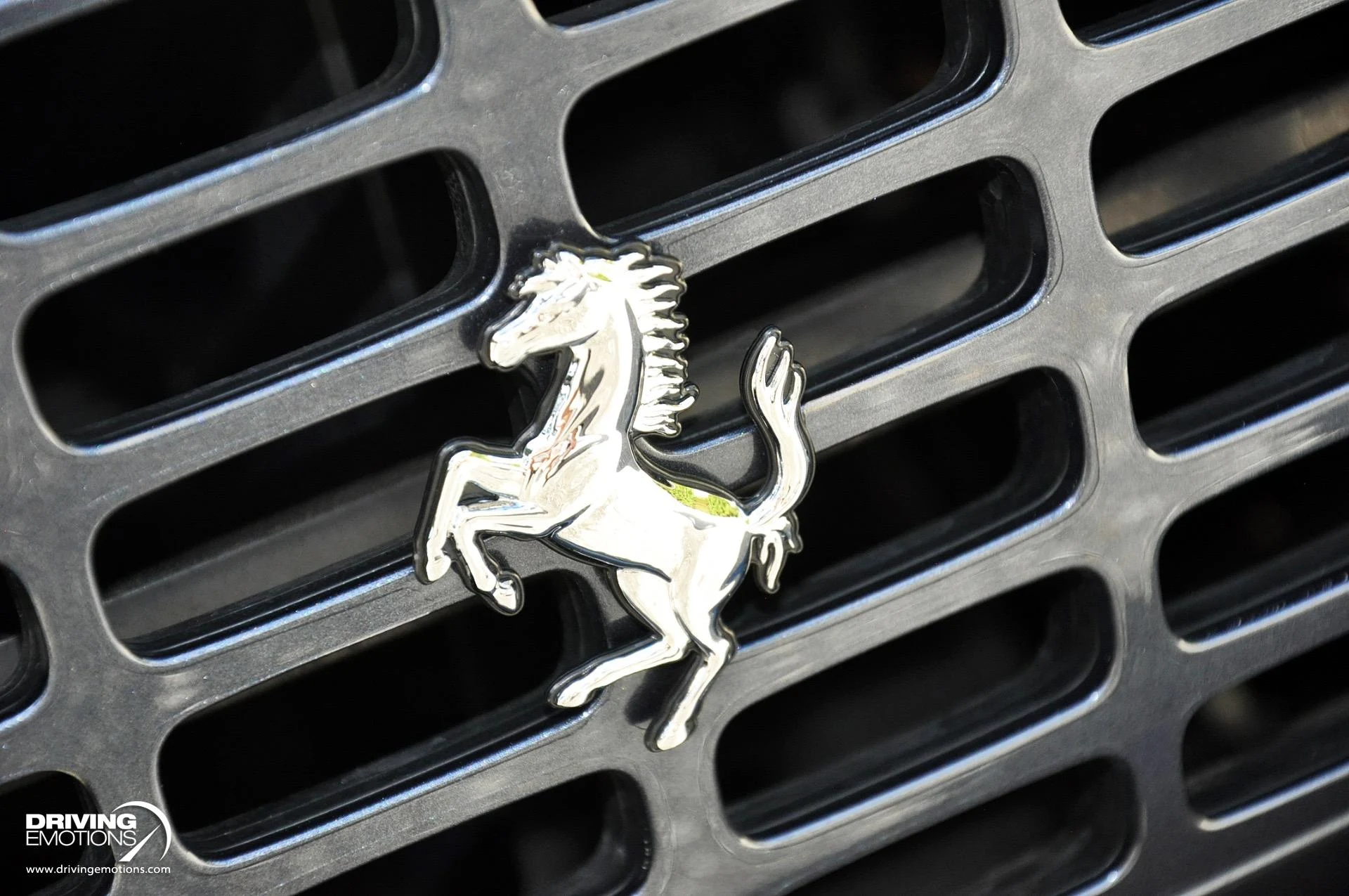 mph005_573265696_882_p6_l_93e96a38cd