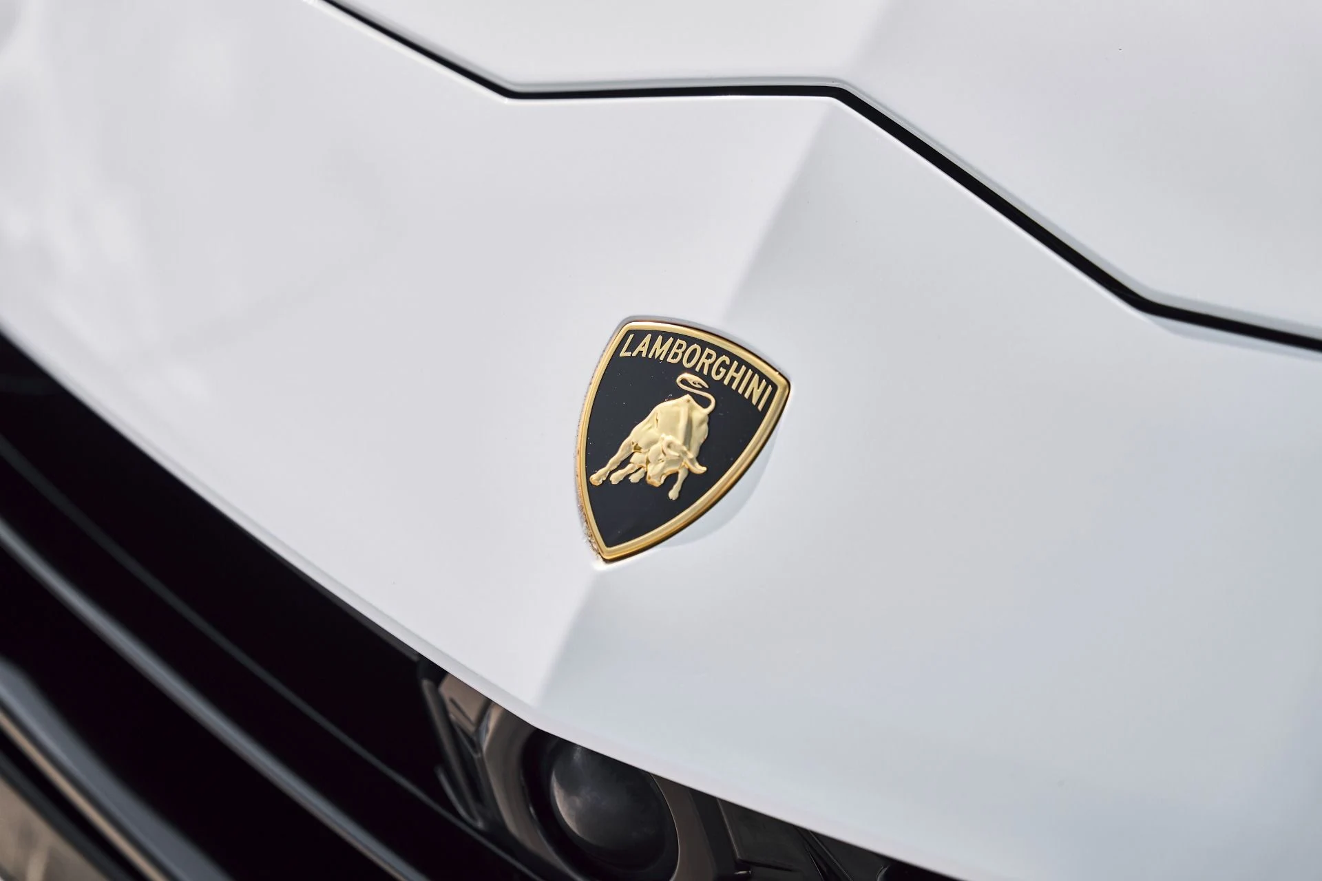 mph005_582244567_Used_2023_Lamborghini_Urus_S_1784684424_280ed54fd4