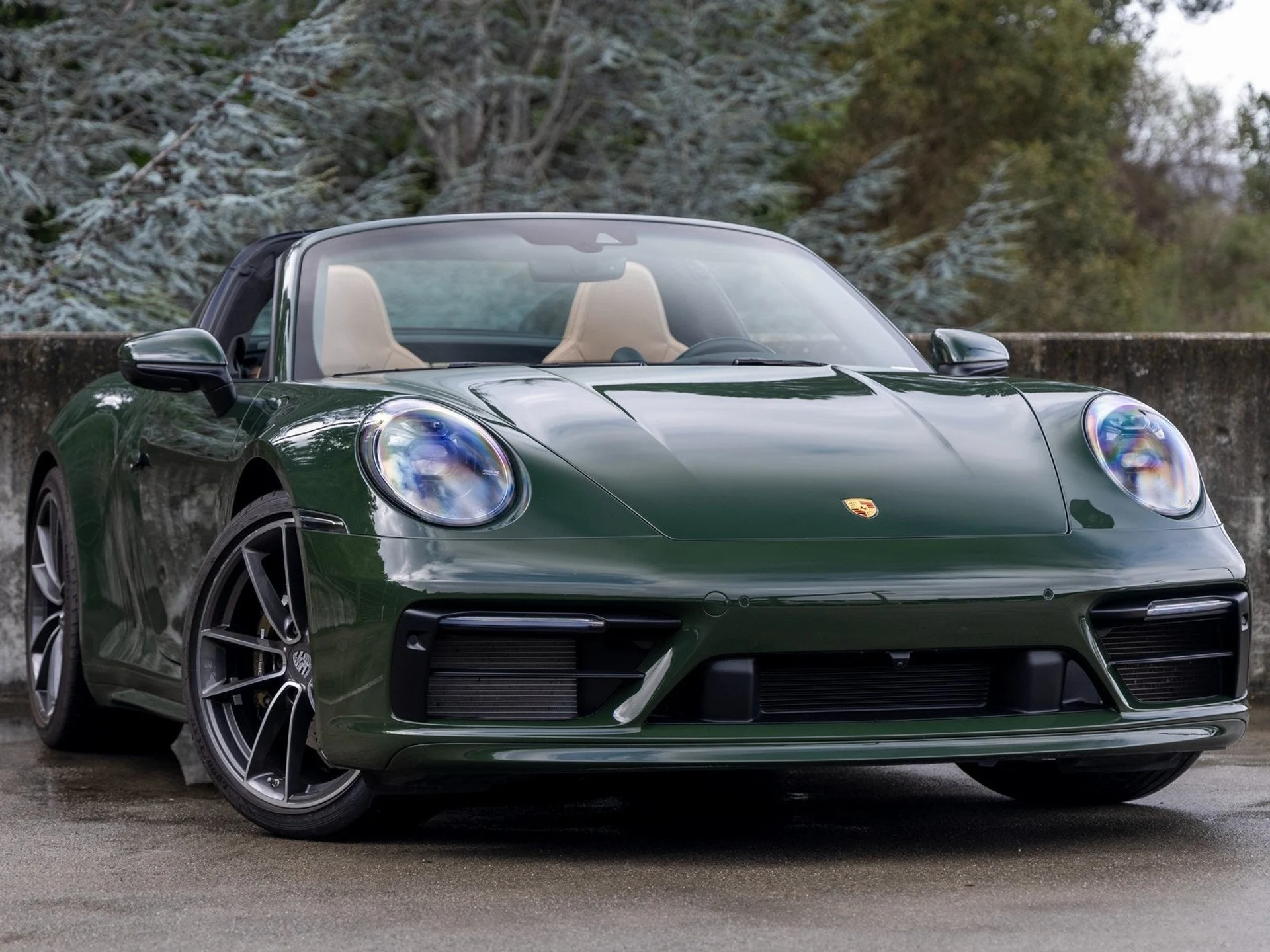 mph005_59653126_6_b9418cbb2a