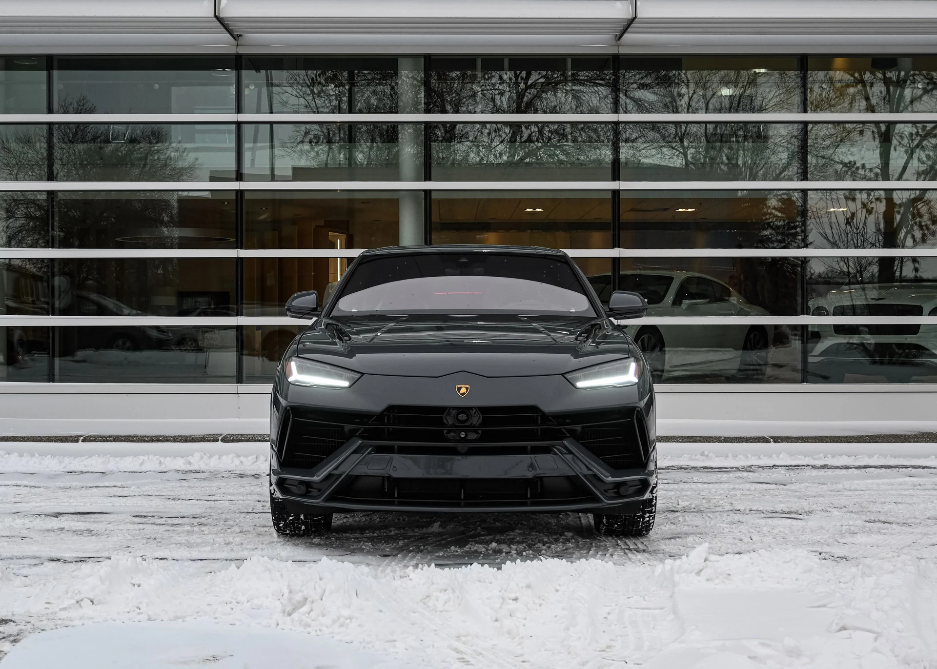 mph005_635616366_f37f6f33_c2f7_4fb3_a4f3_6c26306ed14f_775ff63b89