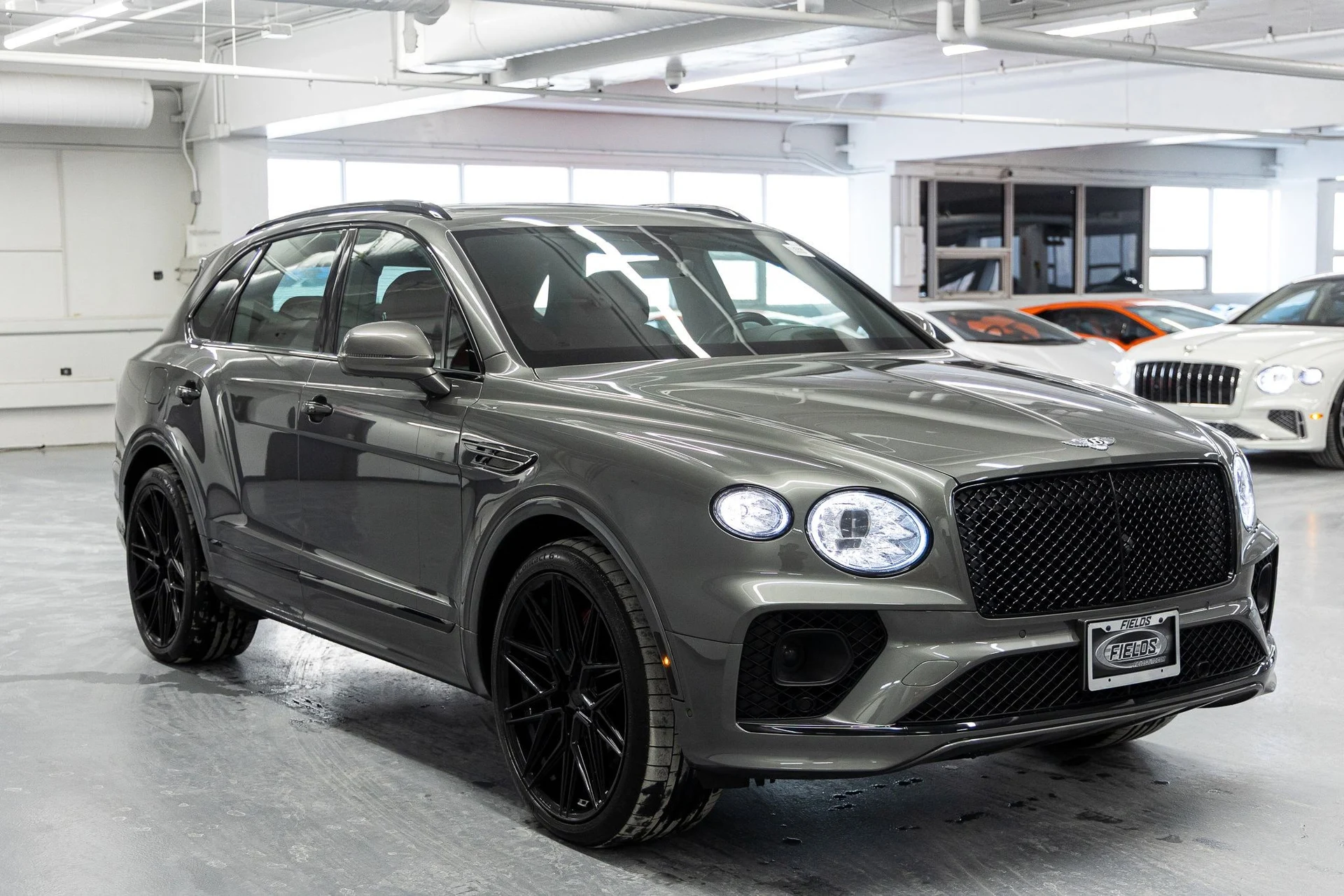 mph005_803151179_0a44d0781da2dcd1d5e39870fdd3c7c3x_8652f30870