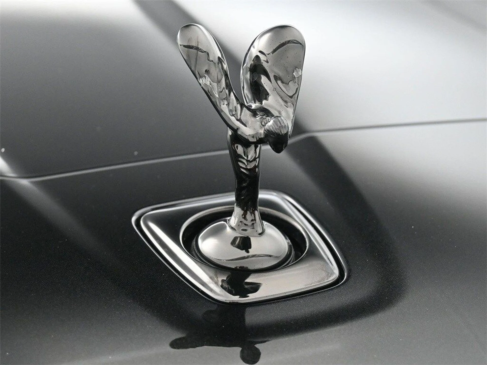 mph005_843560621_5cd2892e71e763396f37a8a62eb2890ex_8326a19ae5