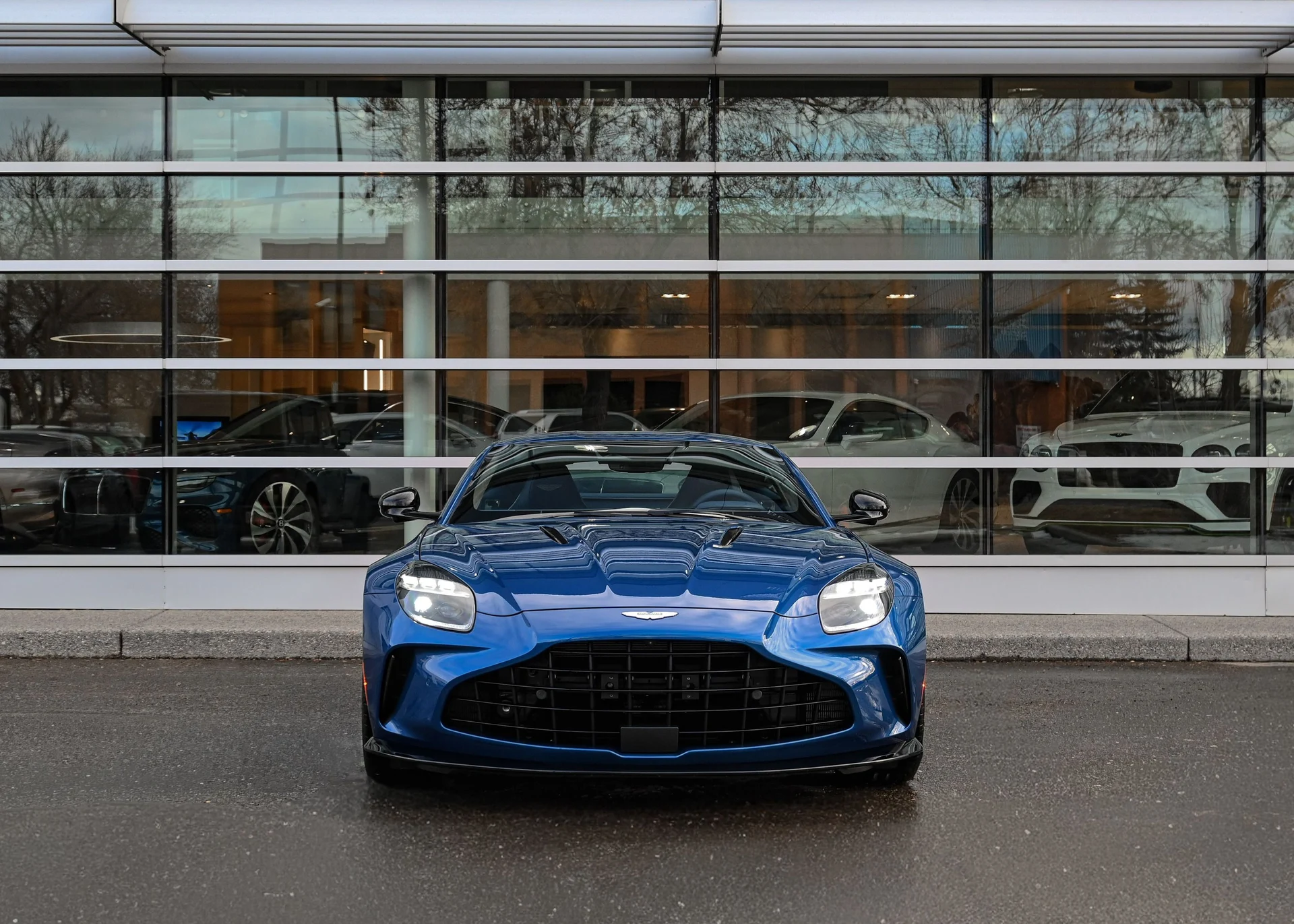 mph005_850456350_f1ad1fb0_291a_431e_8948_56ce73e3f10f_0318a633dc