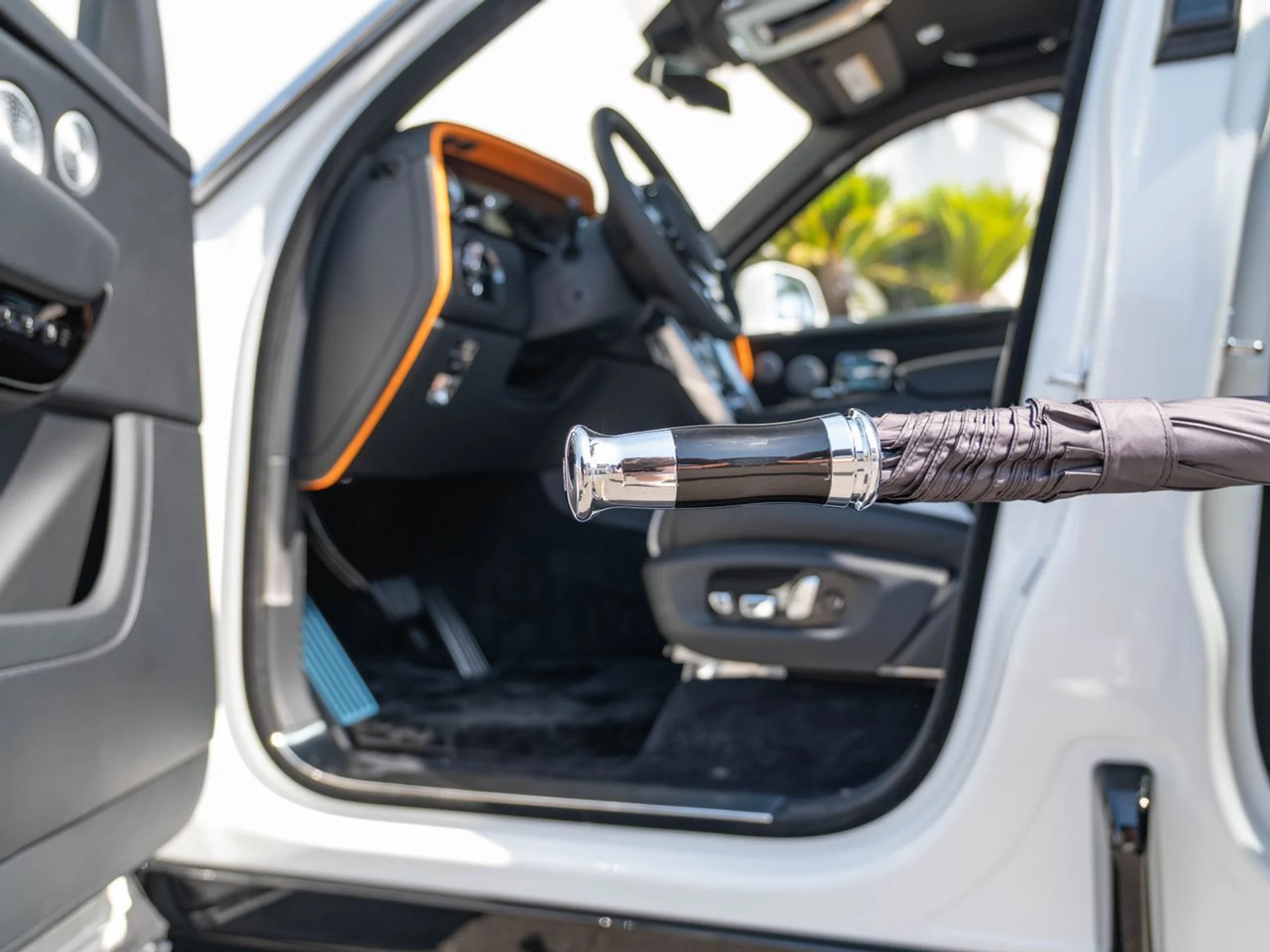 mph005_879677497_916c584ece9ed7610345538a5c8ac98ax_13fa3afe9a