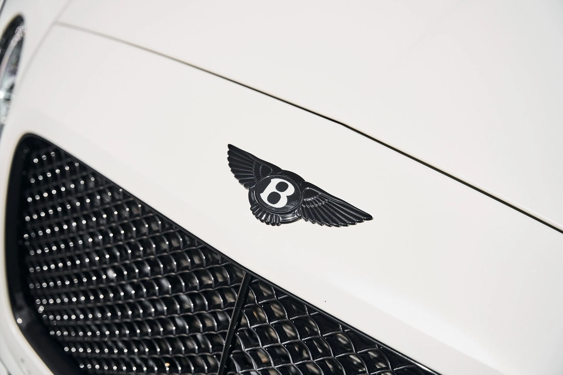 mph005_884519683_Used_2017_Bentley_Continental_GT_V8_1790208282_e9d753c028