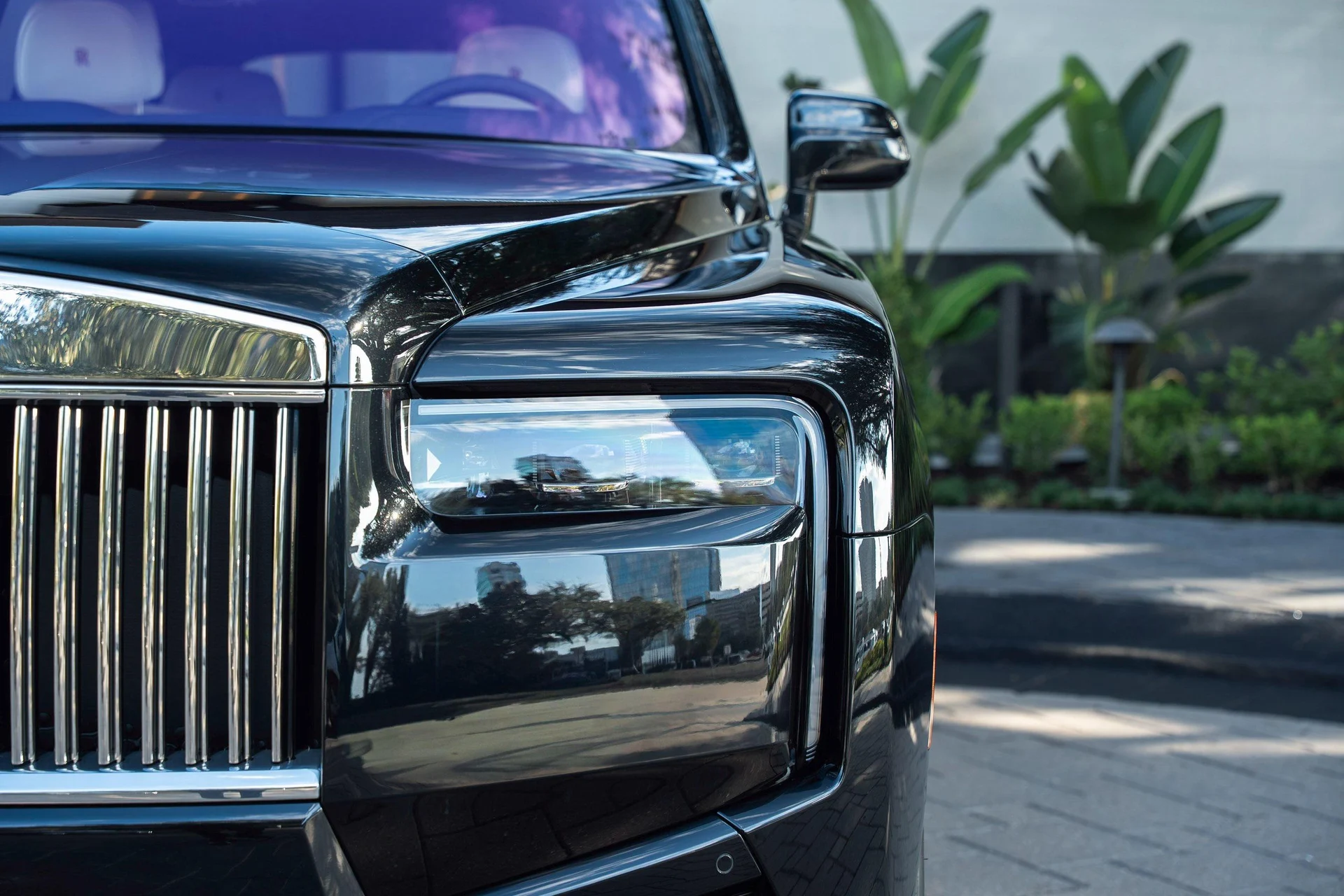 mph006_1036659577_459512611_695cc14b8f3ee920bf518735_d7b4878729