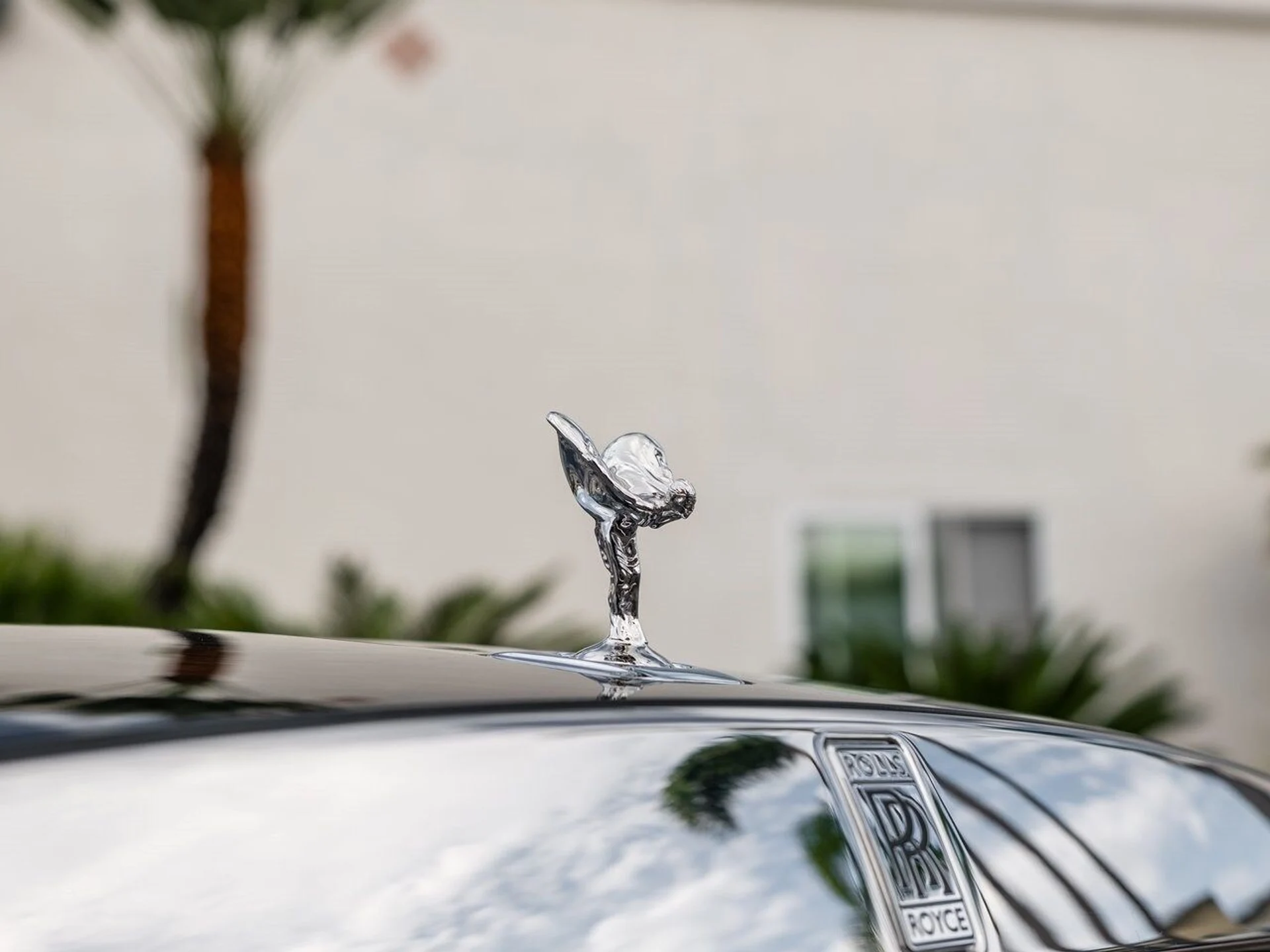 mph006_1065332163_c937149c9bdeddcef0f5c84c533a6b67x_23bc16033a