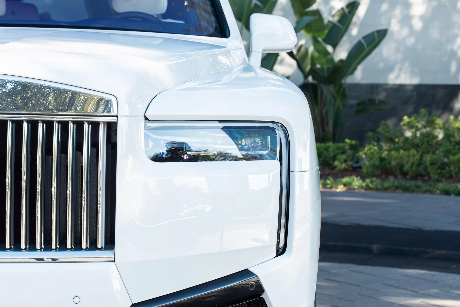 mph006_10864226_476162068_695cc5d98f3ee920bf5188bb_b8d23c4725