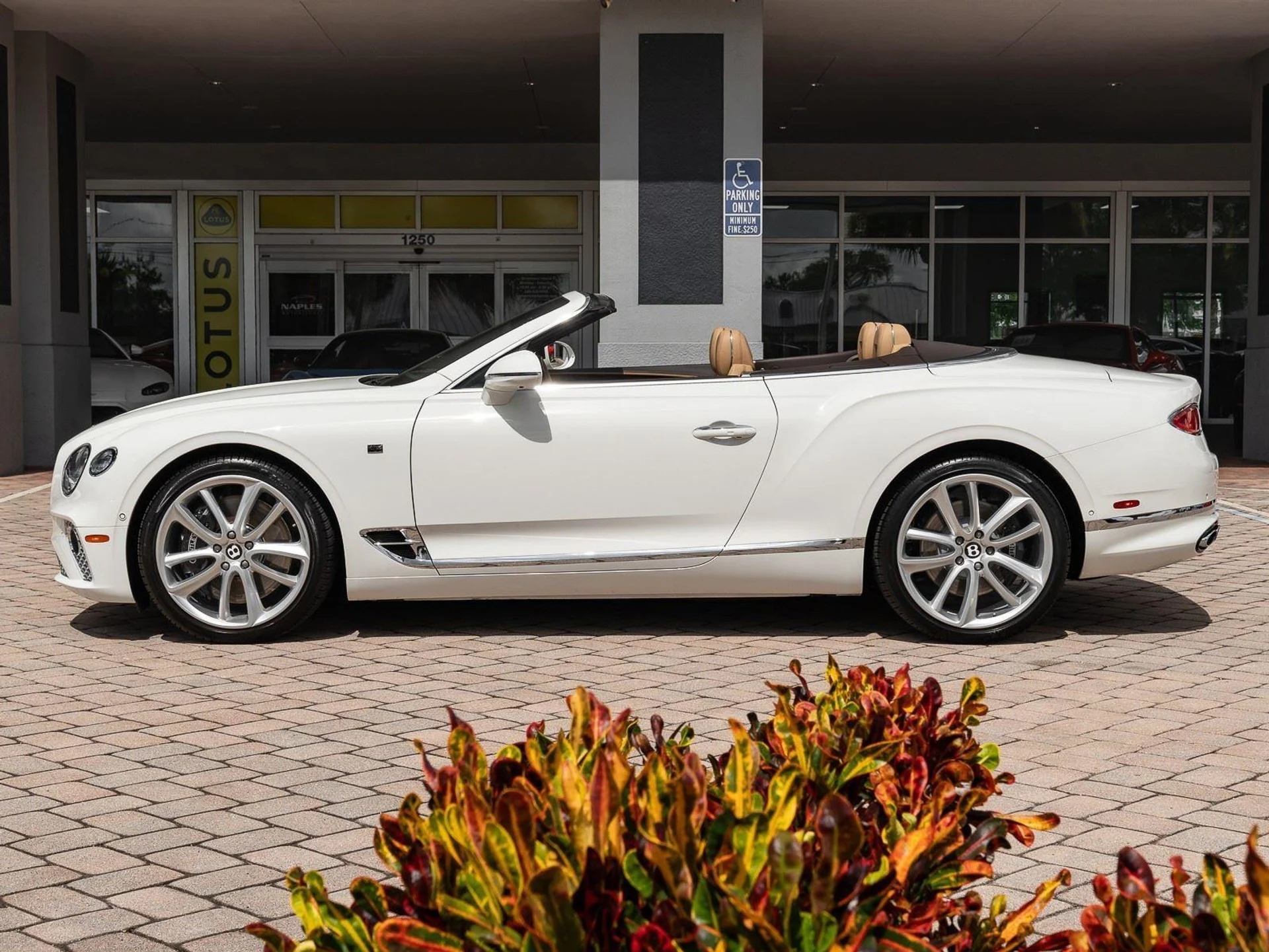 mph006_1090792559_Used_2020_Bentley_Continental_GT_V8_1773864440_261652beef