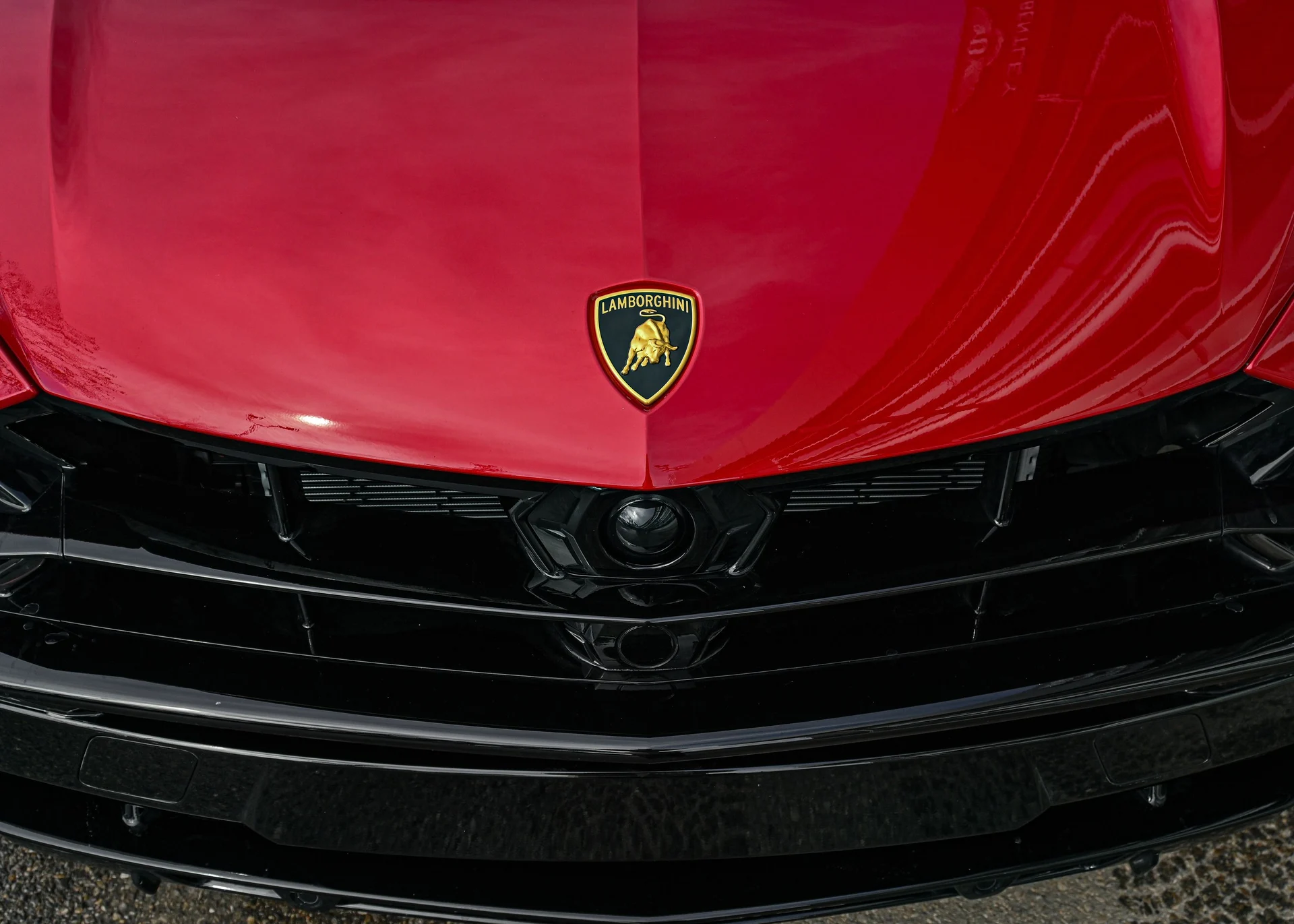 mph006_1095320404_4da176fc_82b9_4e44_b8d1_3578d6393088_c396c85e99