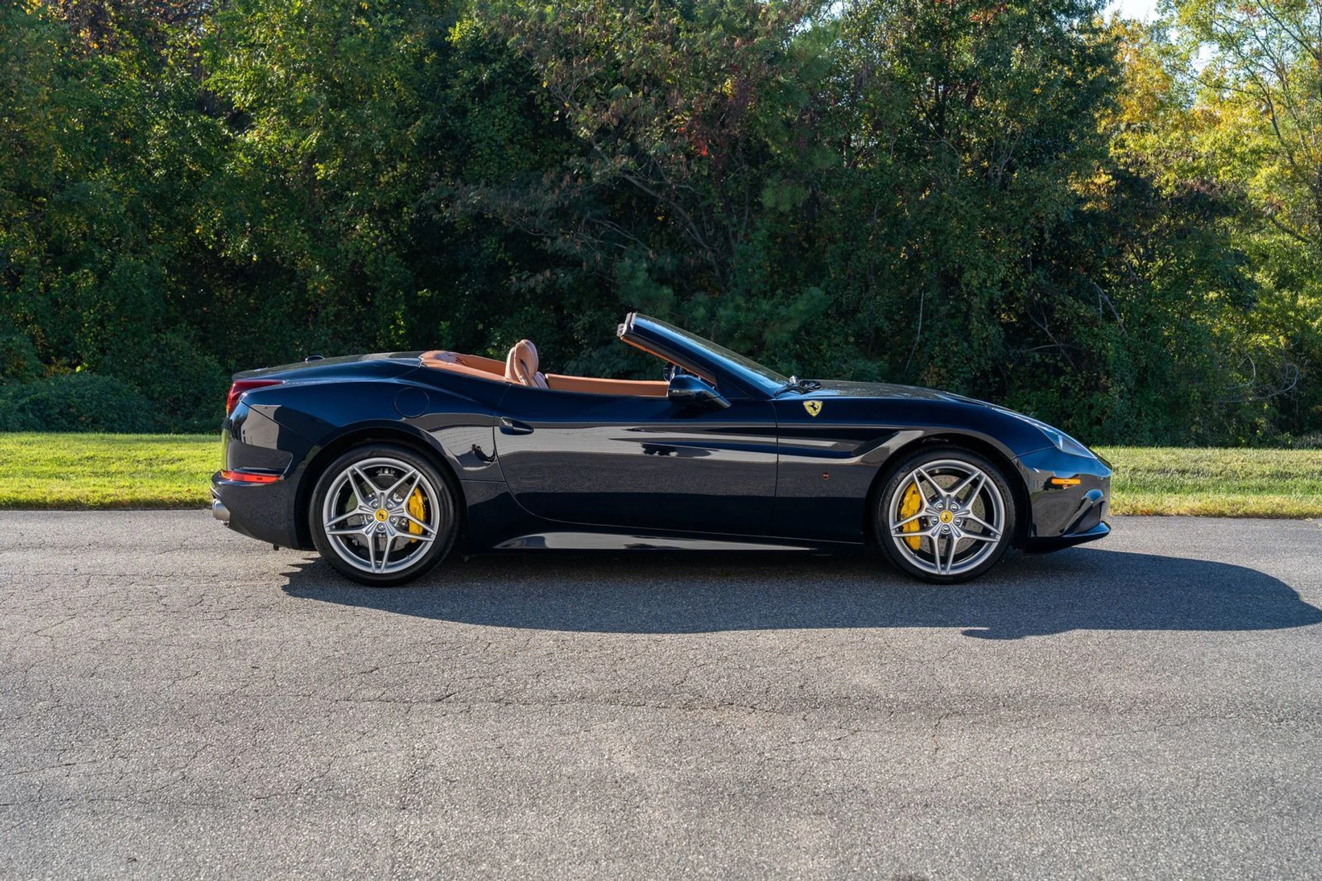 mph006_1111687317_e49448b08402debf5f51e40b069ea590_145597ba84