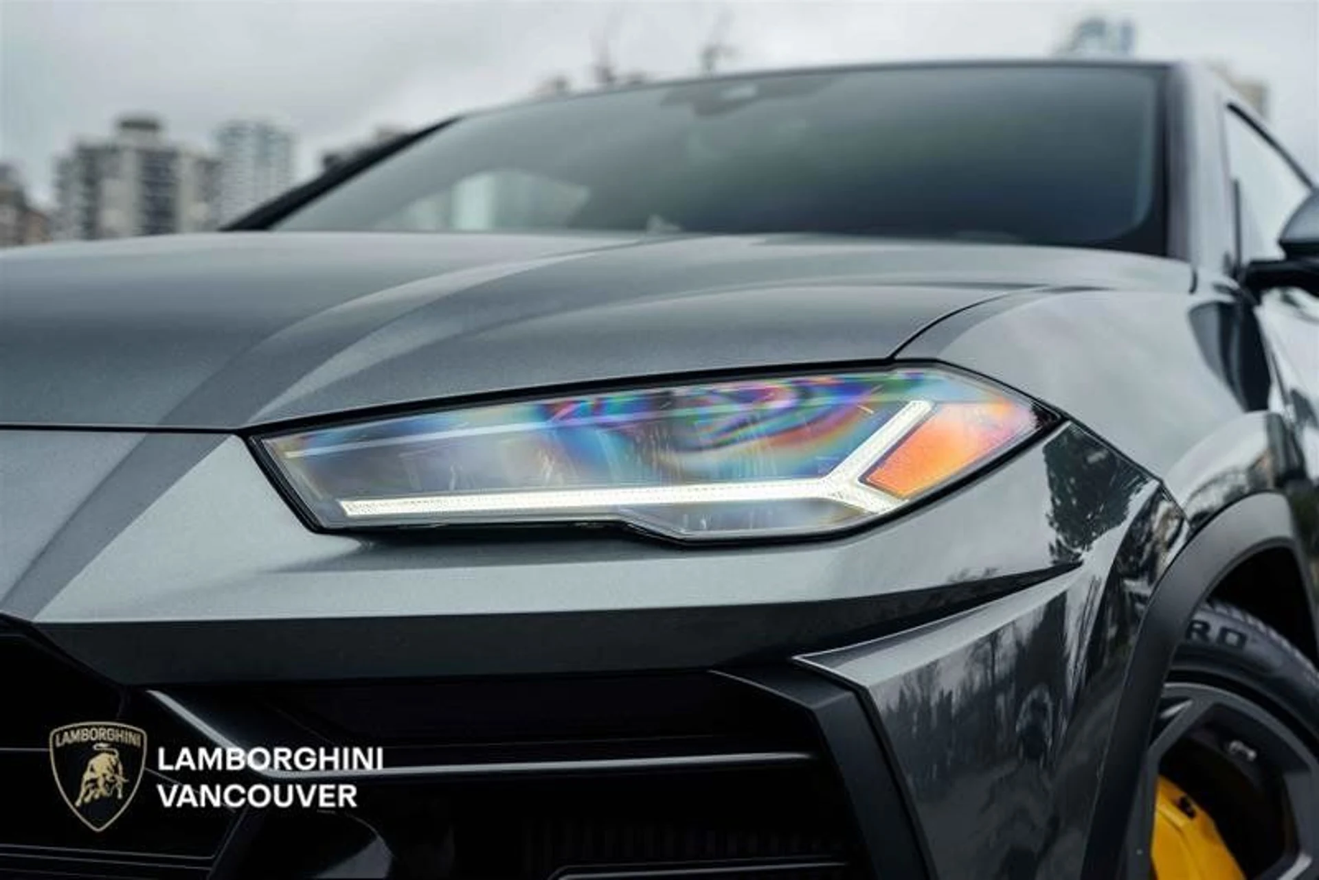 mph006_111538394_38171146_02630_11892917_1639890134_2b0e8c3582