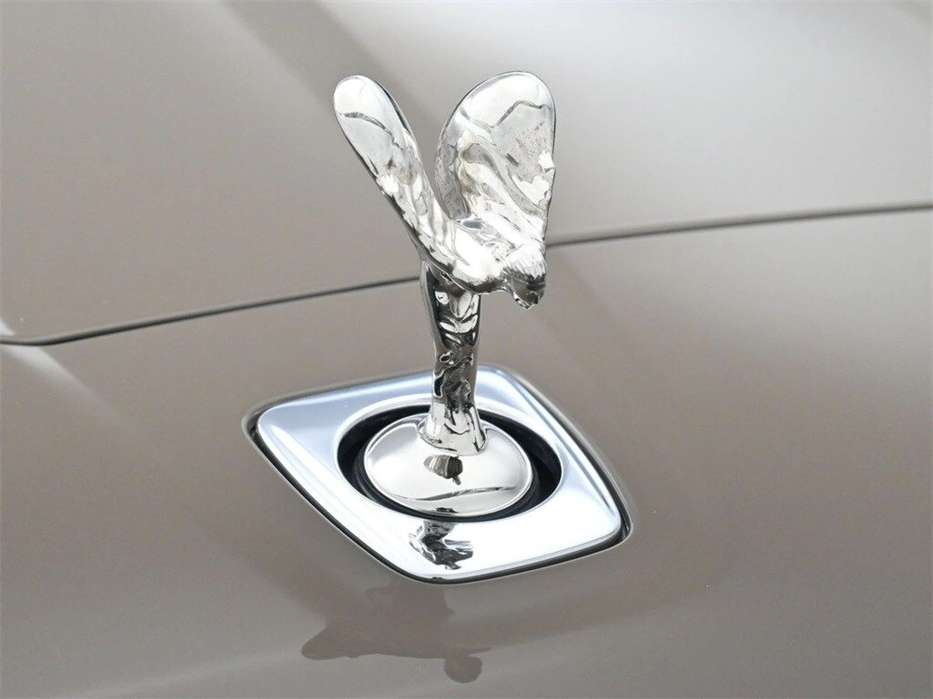 mph006_1143746191_0cef604f9bf3625dffcf172aacdc75c8x_eb4895e19e