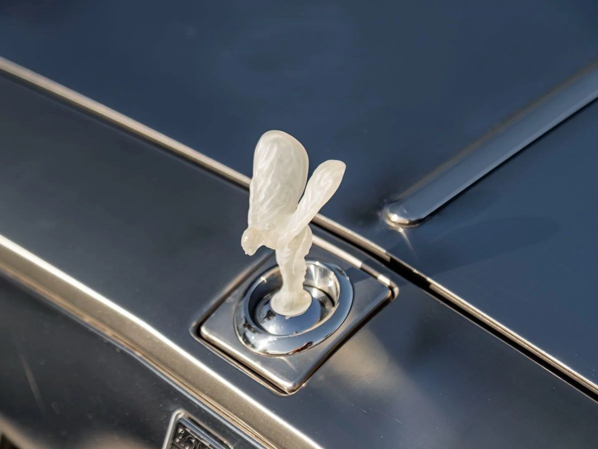 mph006_1171923208_7_e243bae37a