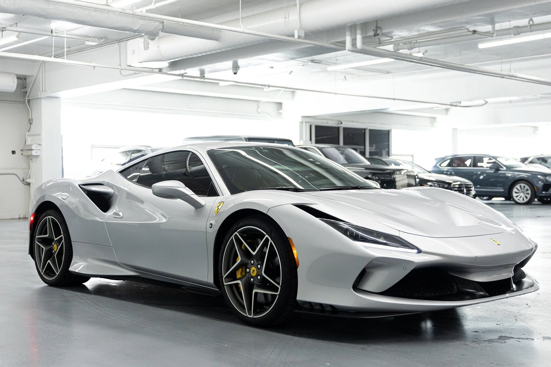 mph006_1197279090_77f24c9928c5bf0fed188a9928b8076cx_95cb1483ef