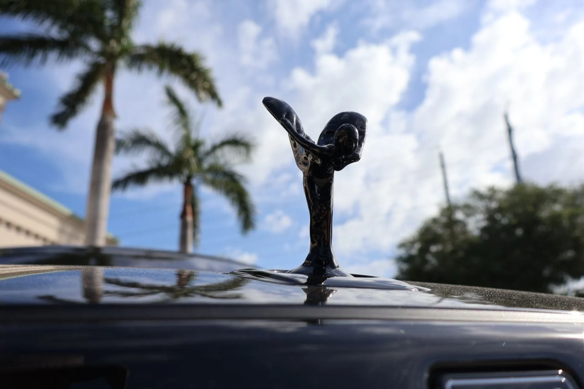 mph006_1249591907_7_354a4e7221