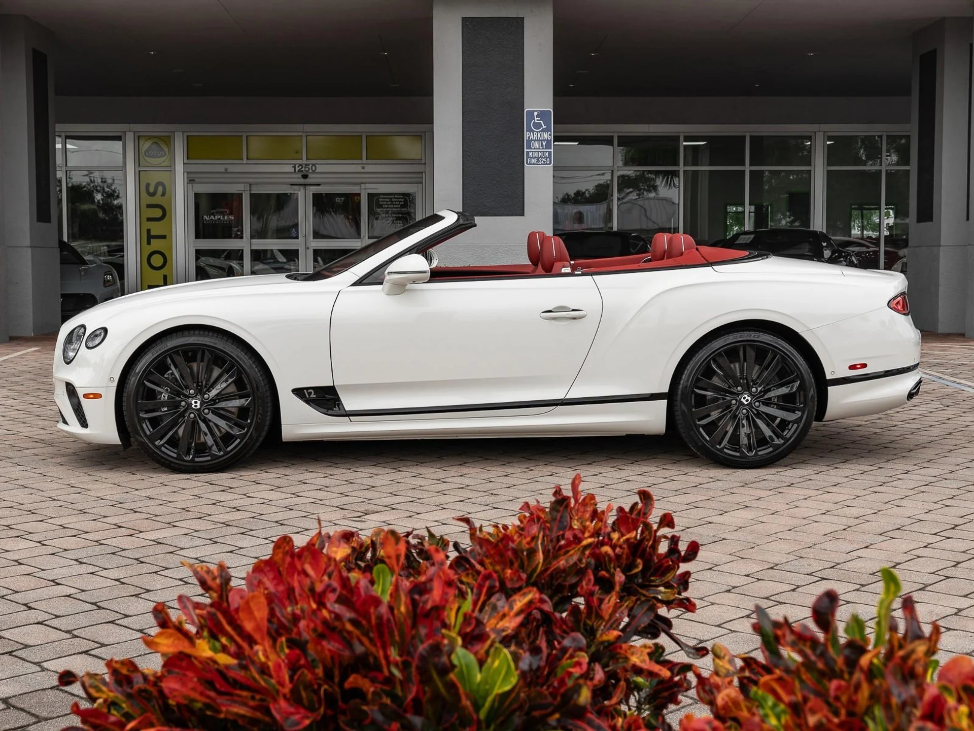 mph006_1280544274_Used_2022_Bentley_Continental_GT_Speed_1763485697_64fb429314