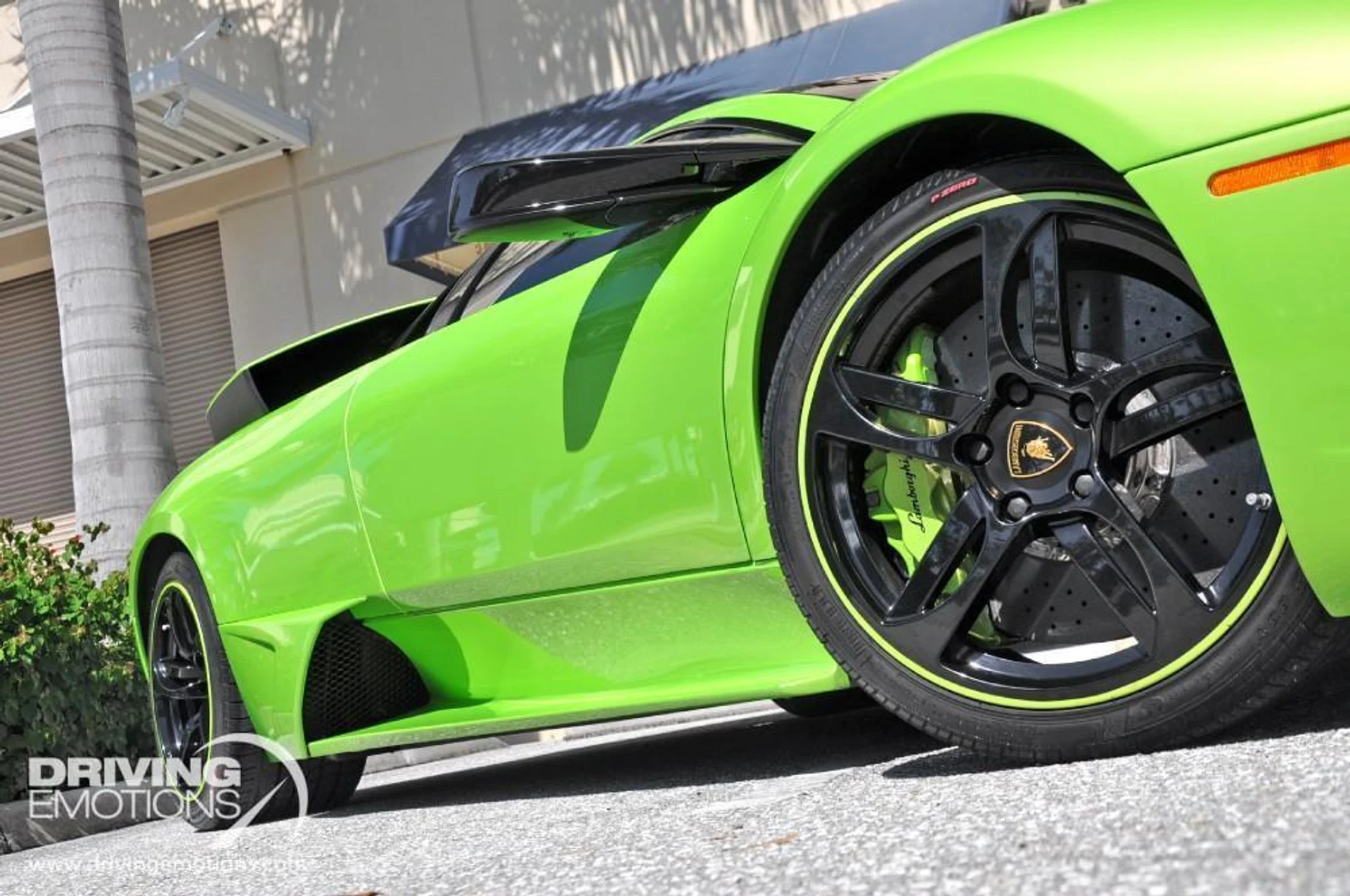 mph006_1286141426_15_p7_l_8a47a3b538