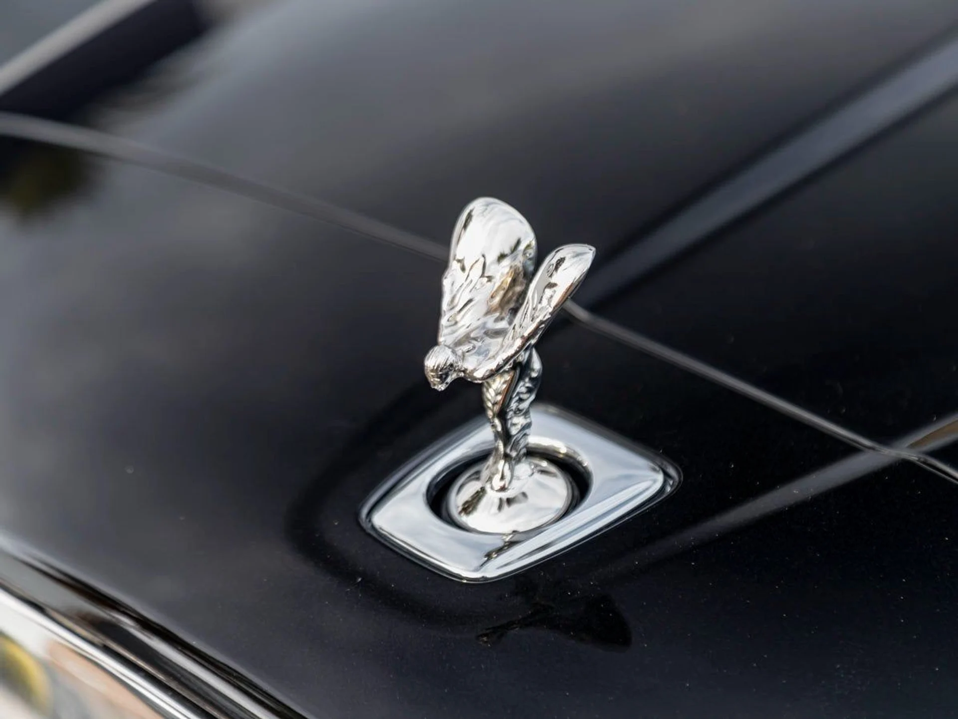 mph006_1287651288_7_ab39e1717a