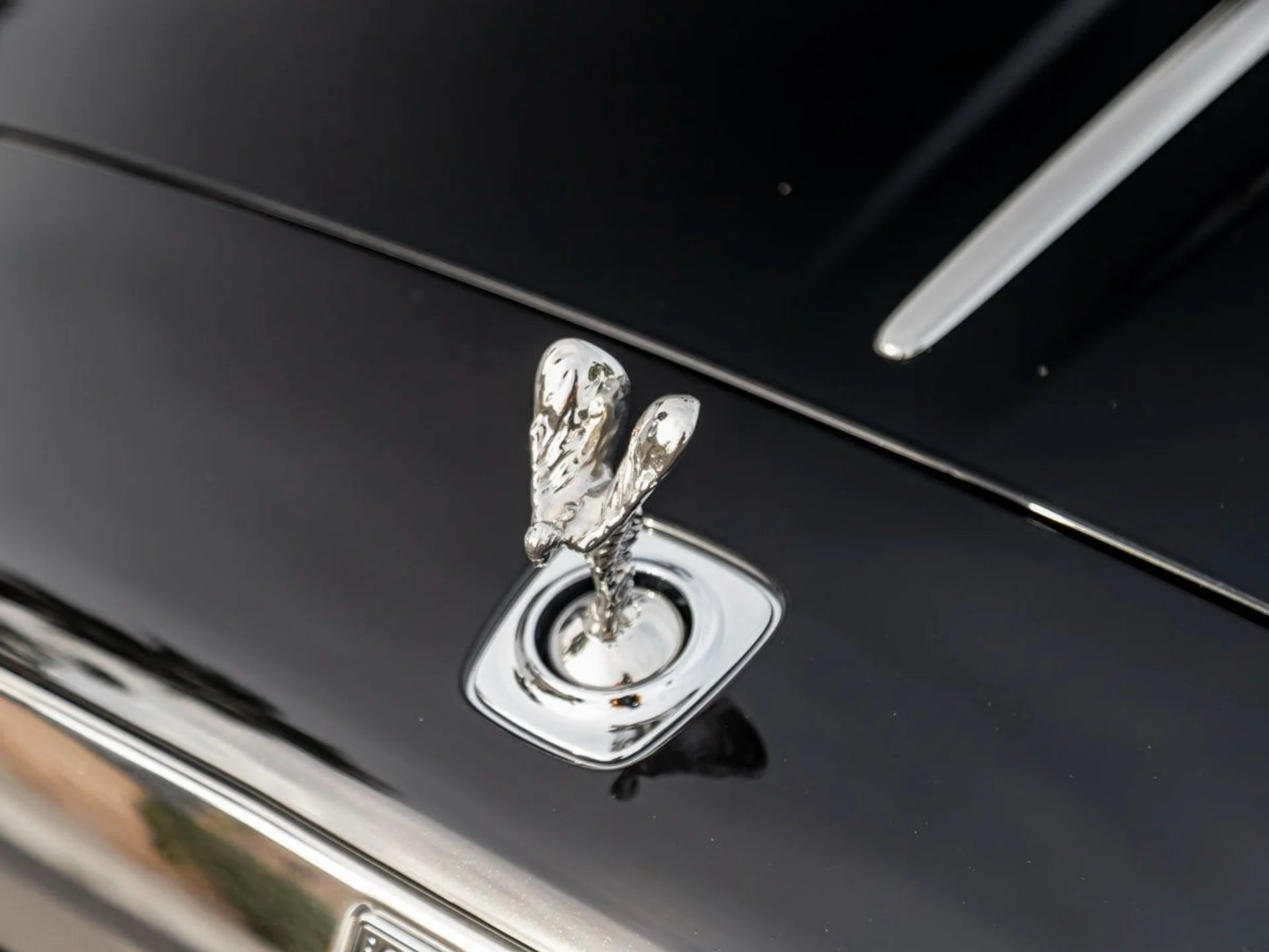 mph006_1296269247_7_a20fcc0278