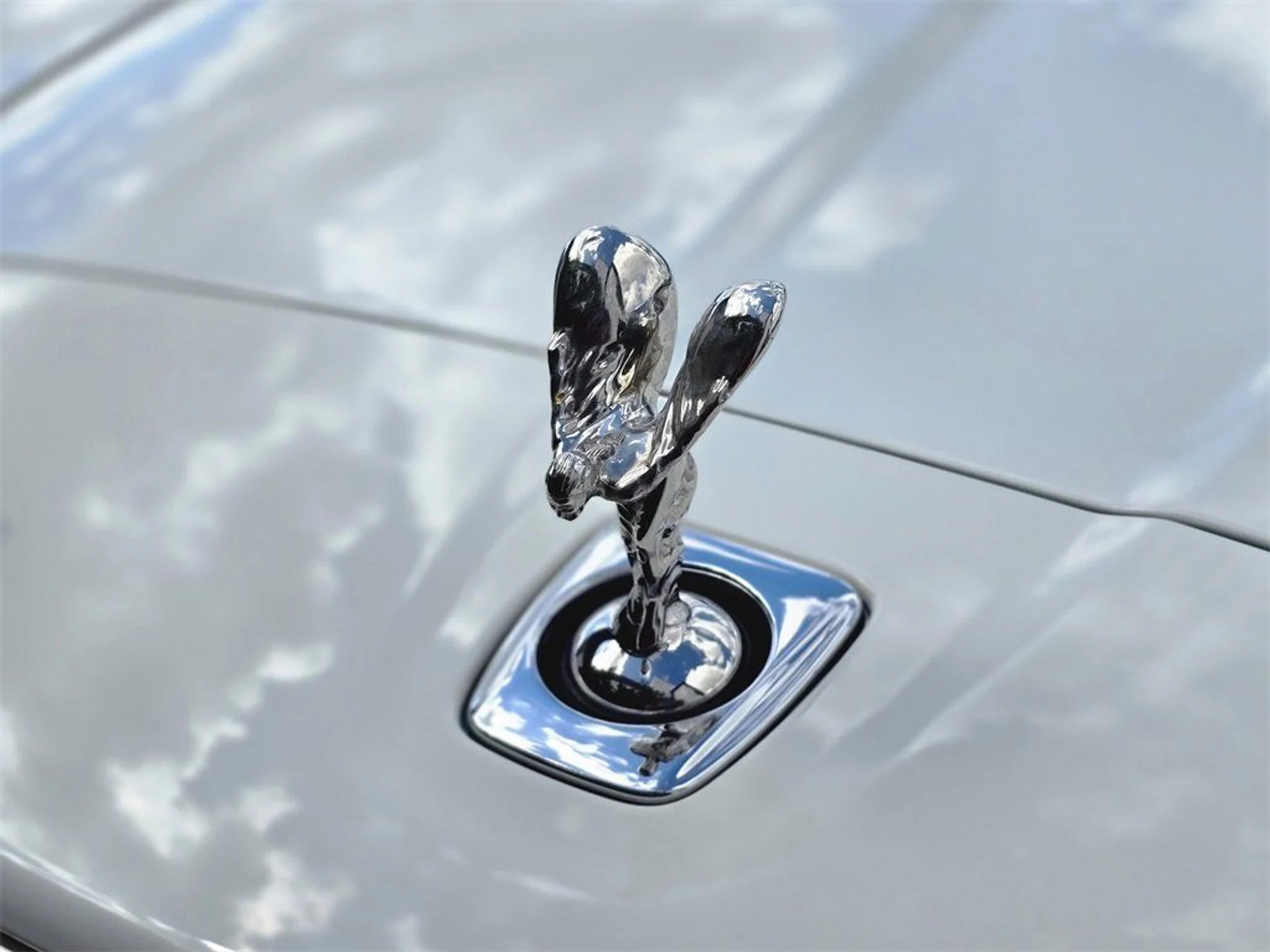 mph006_1309704692_b2f70439fe31e8d318fa7db9fb1e420a_c0cb925d28