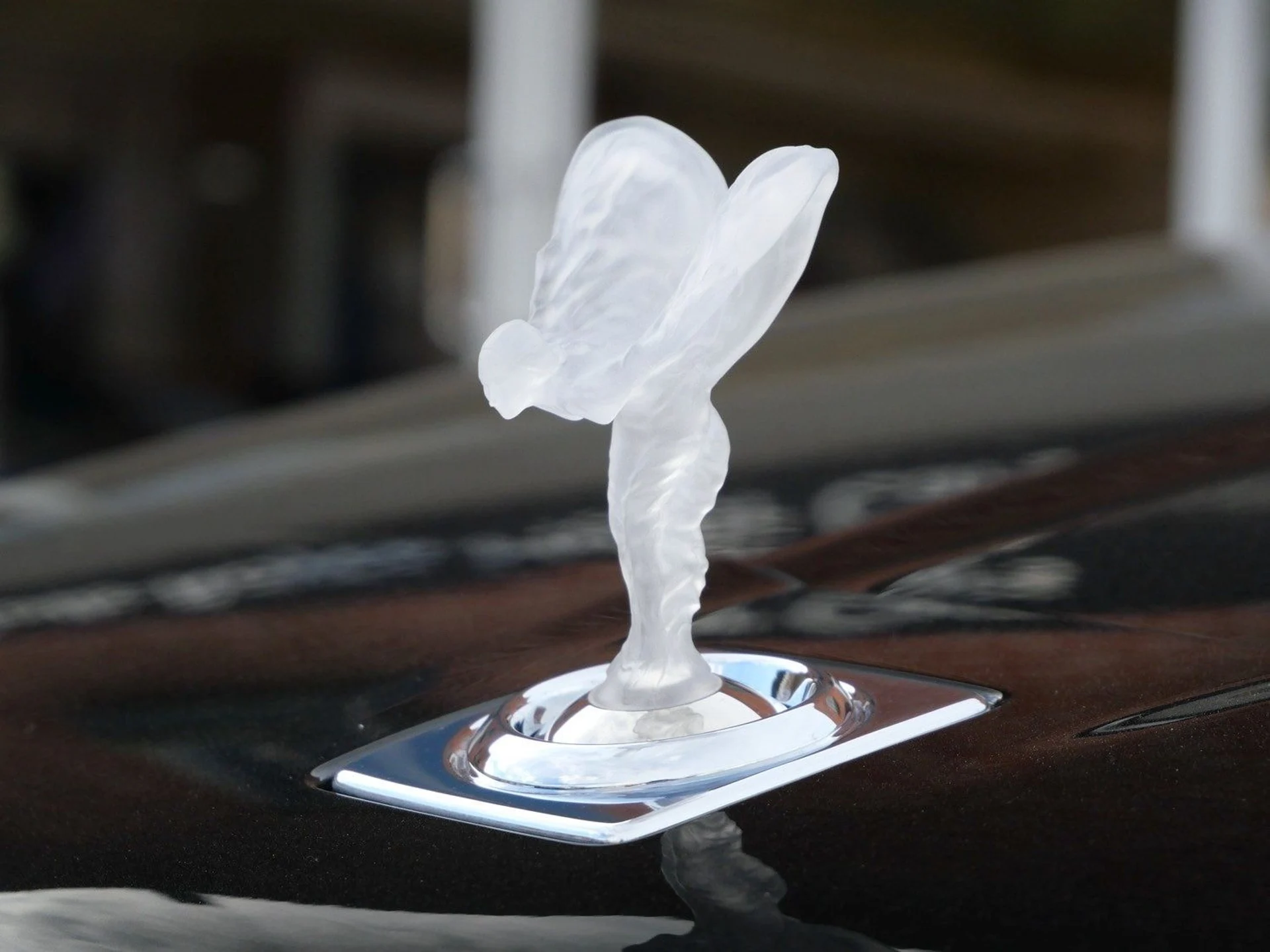 mph006_1364125946_7f1e5e6485485169b9d779ea0b09156bx_1a5f8baa0e