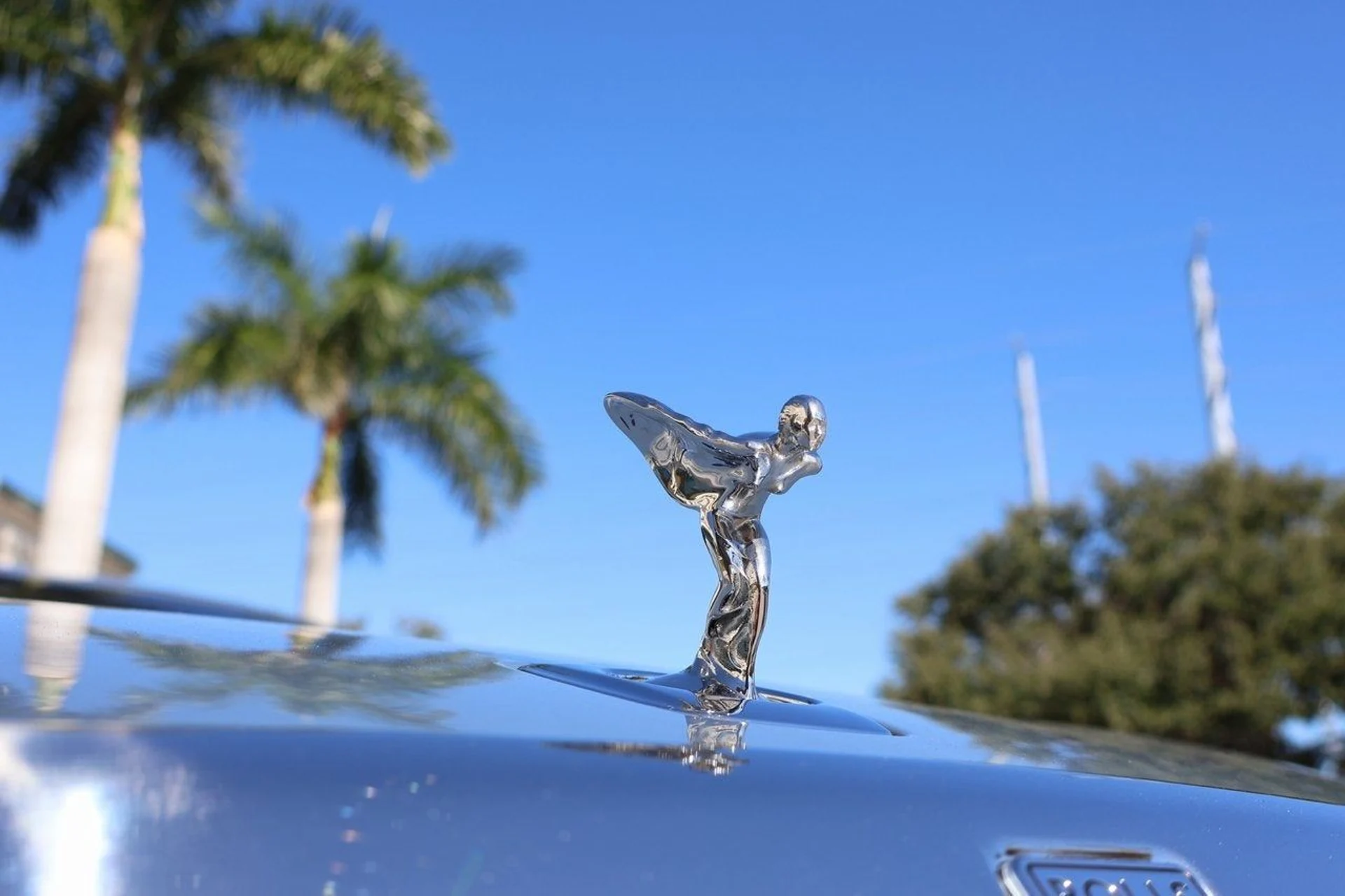 mph006_136745247_7_e5c99790f6