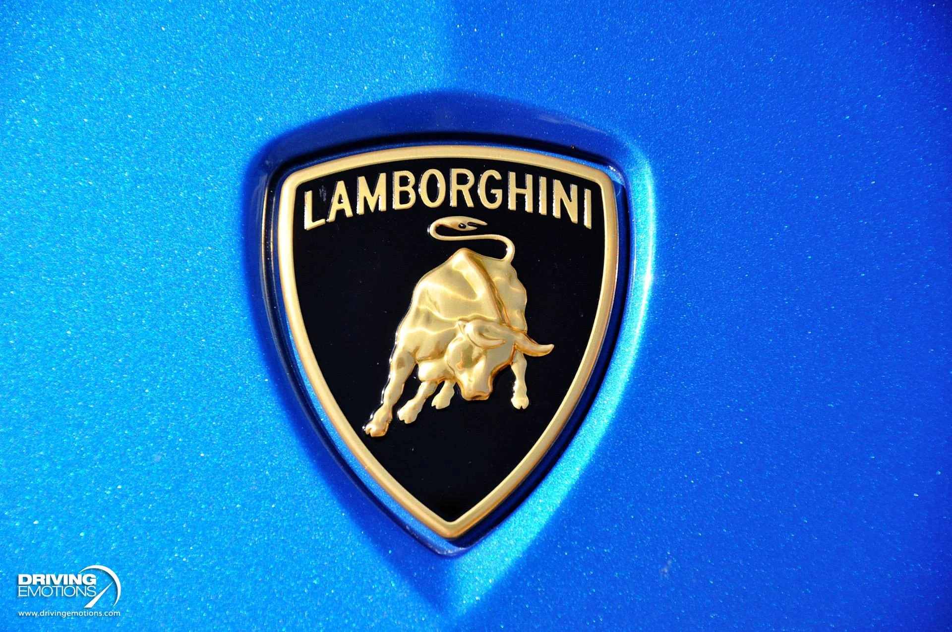 mph006_1371899160_801_p7_l_ab8b555183