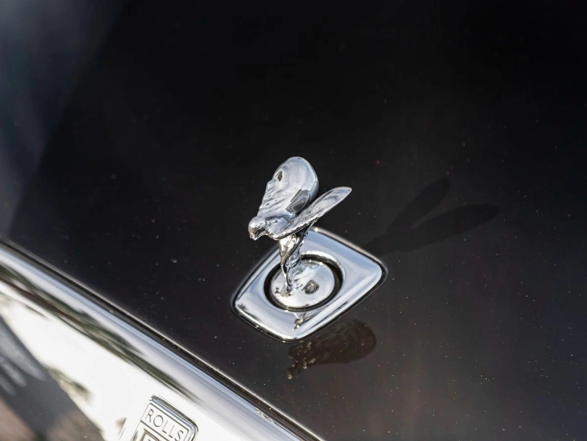 mph006_1394706850_7_c683c2d489