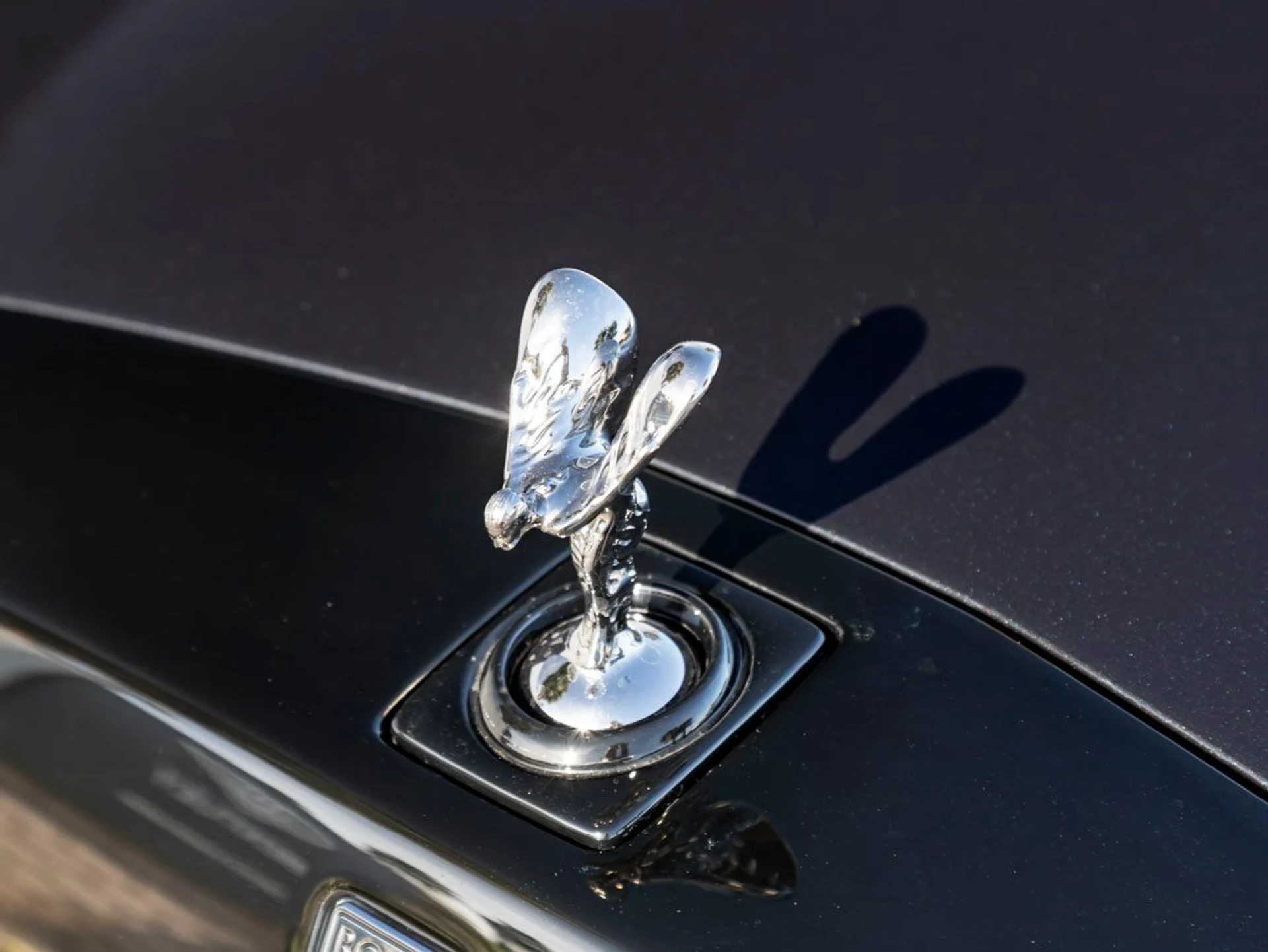 mph006_1407000273_7_0cc6561f79