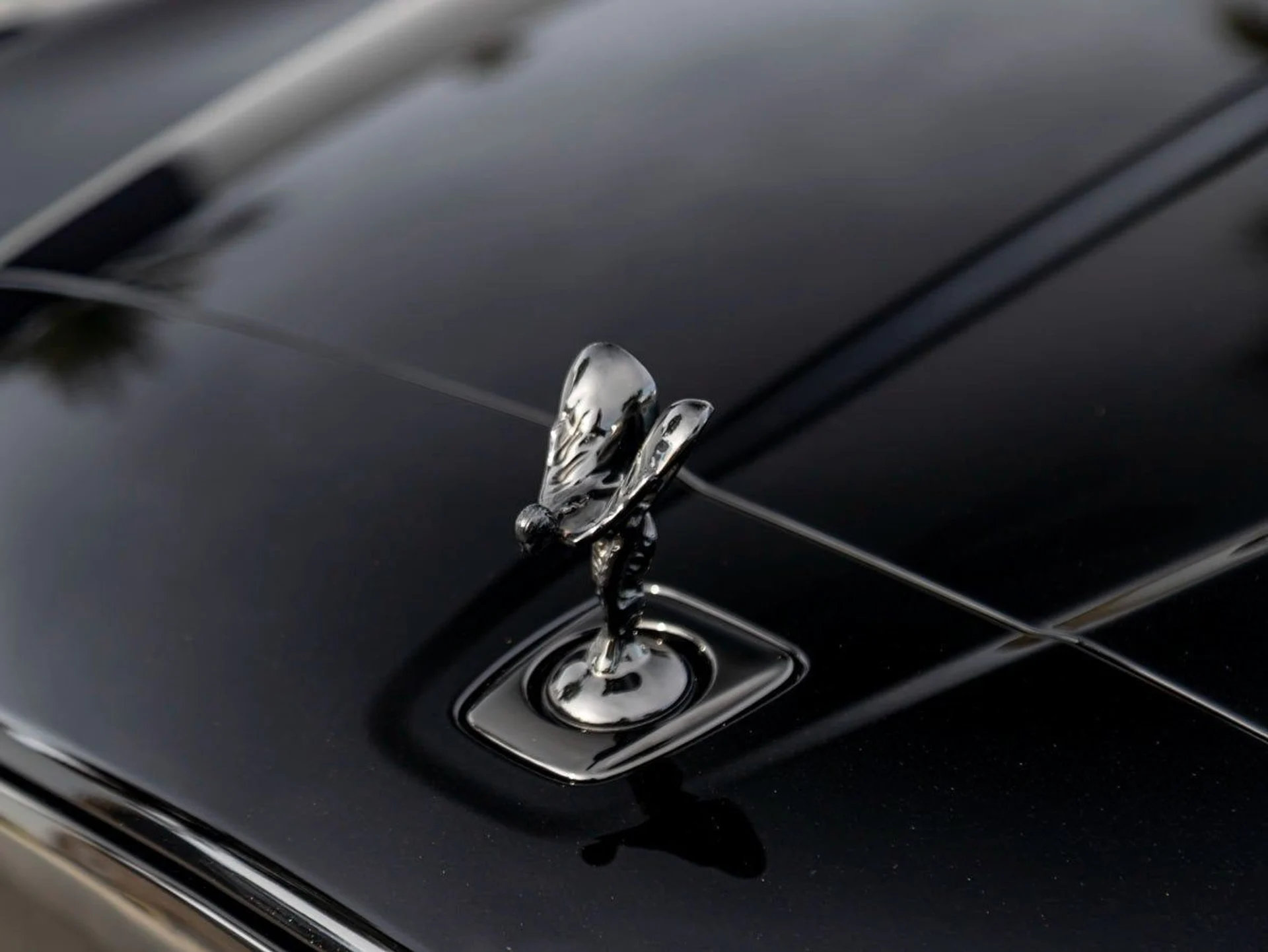 mph006_1469185632_7_8b8e77dc0c