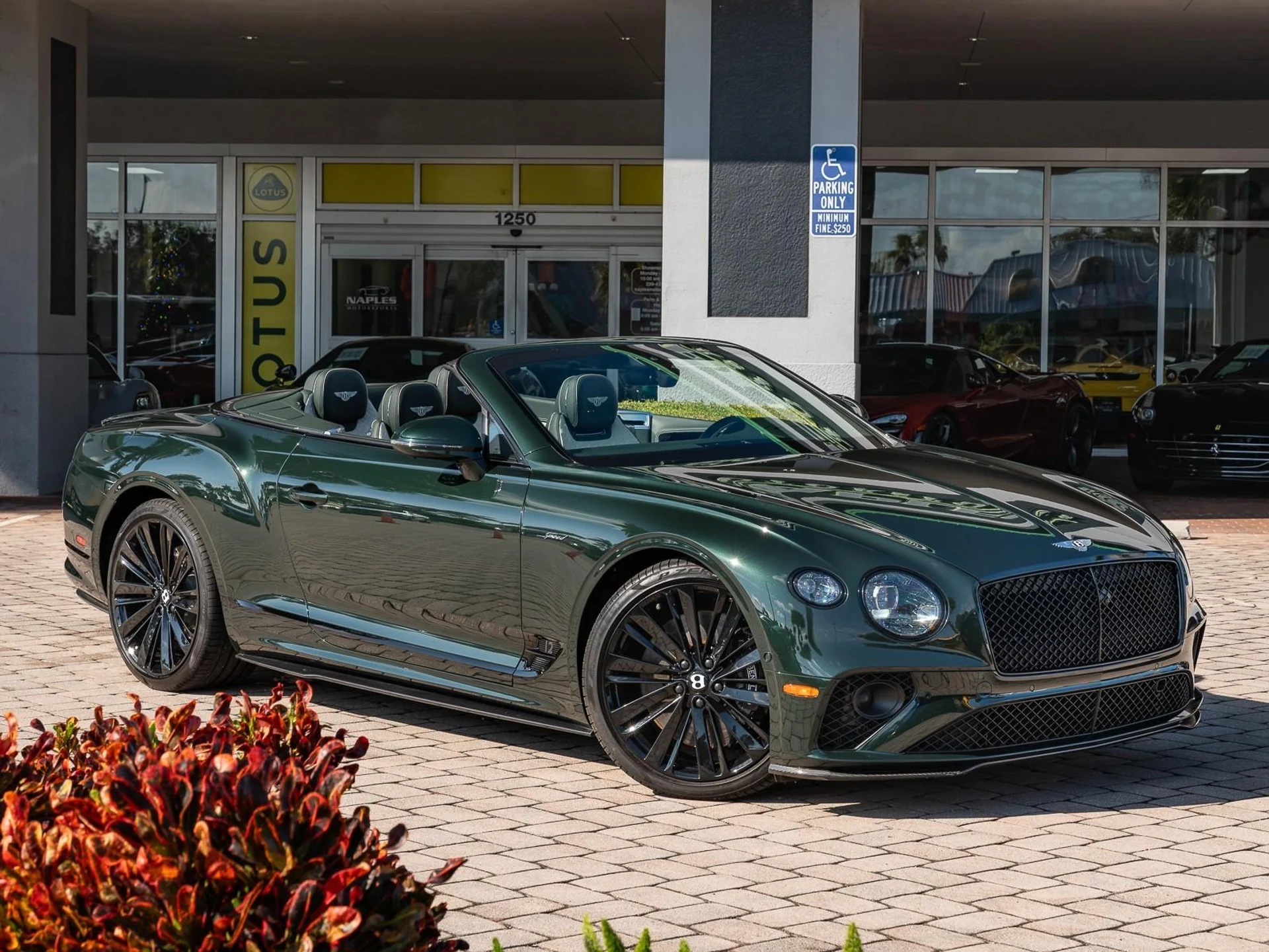 mph006_1495572017_Used_2022_Bentley_Continental_GT_Speed_1766181993_e8455097da