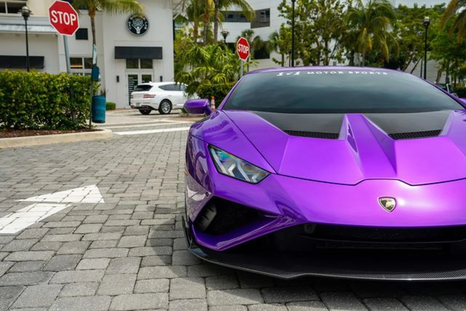 mph006_1515856237_23012204_7_ea84248aab