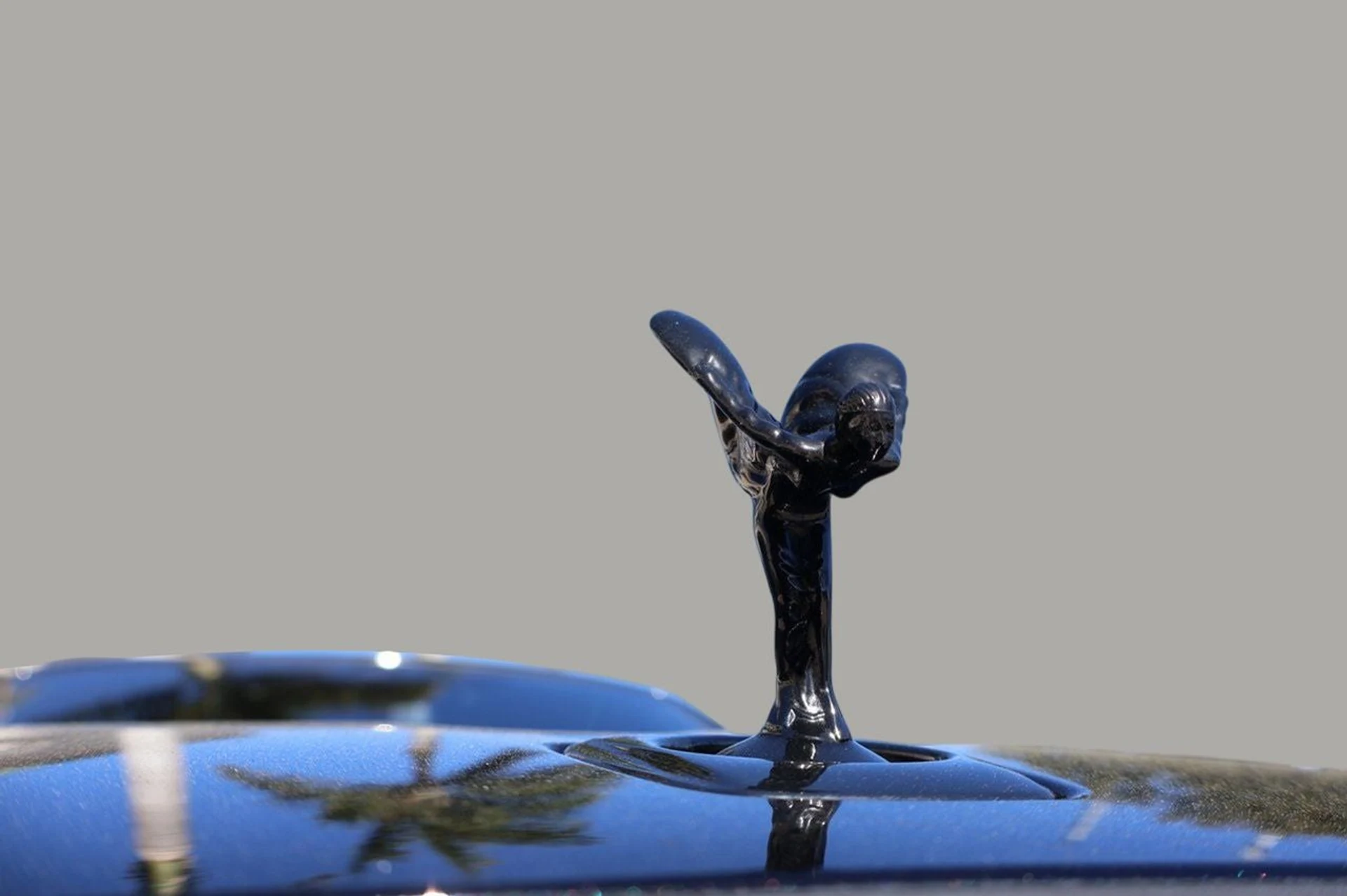 mph006_153446859_7_3b7f04e9c1