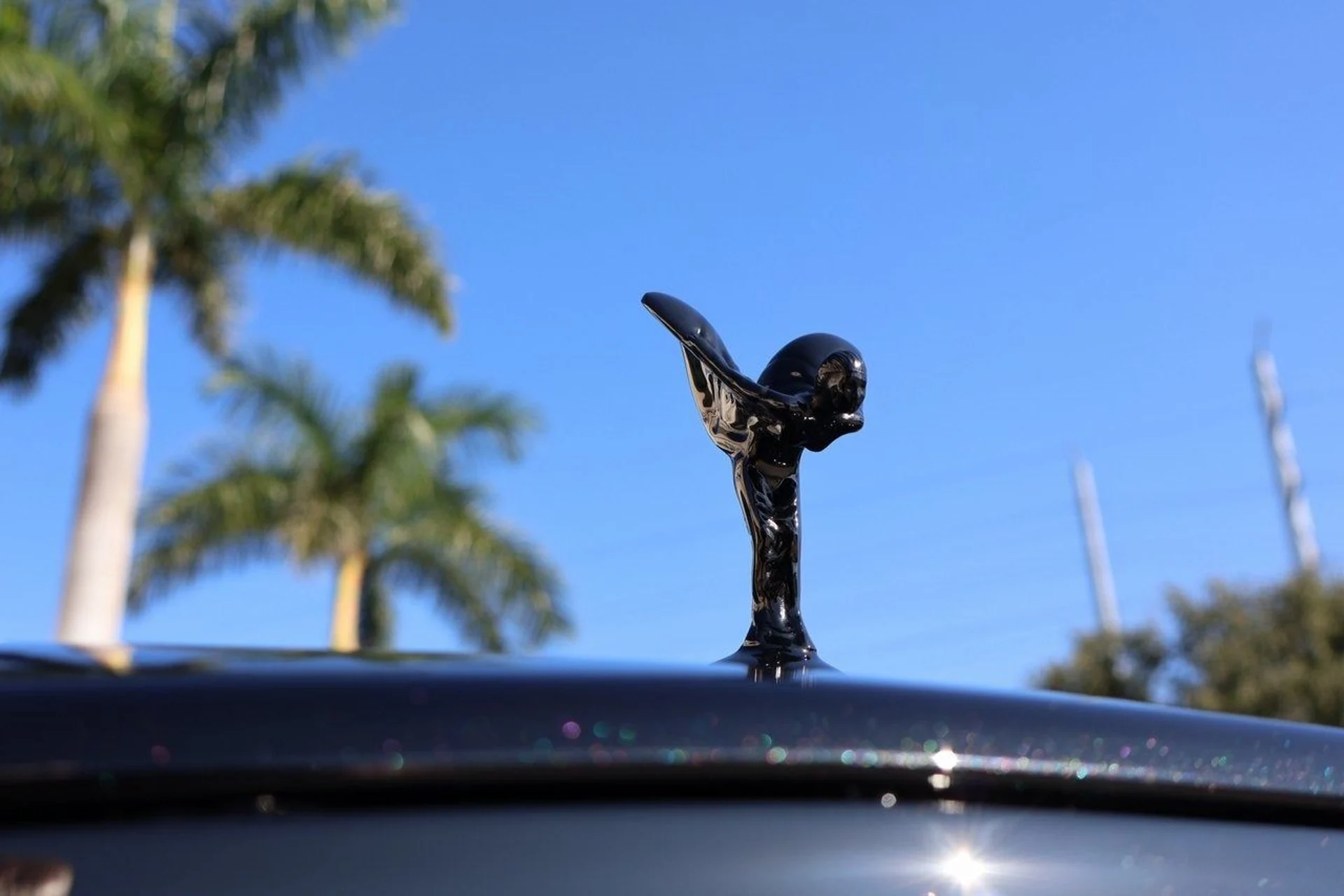 mph006_1544162064_7_7bee9b7e57