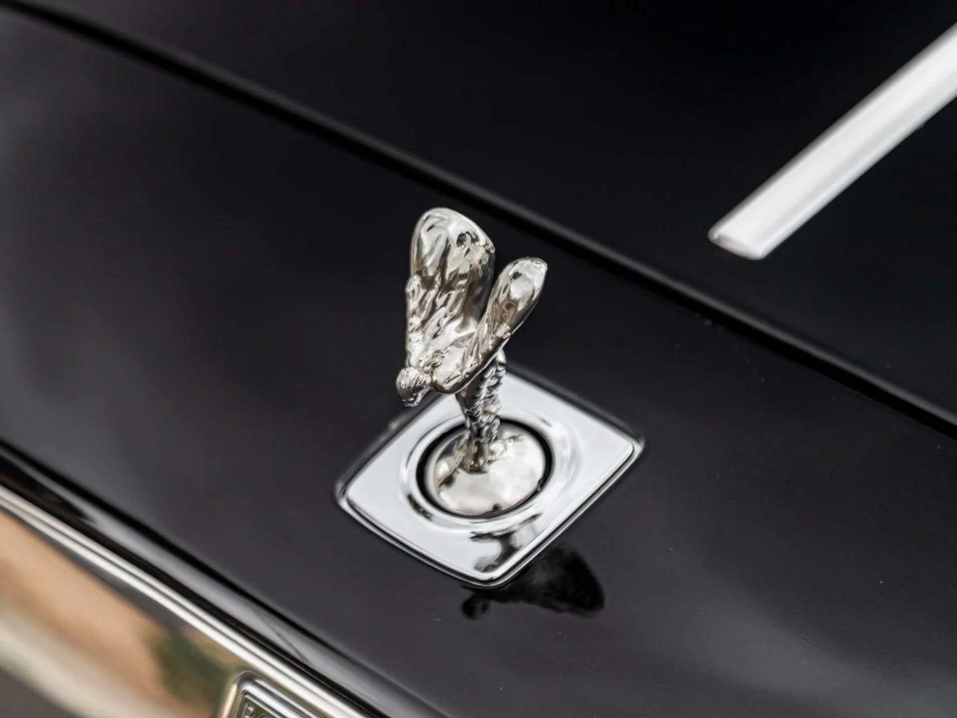 mph006_1551937593_7_42205315e5