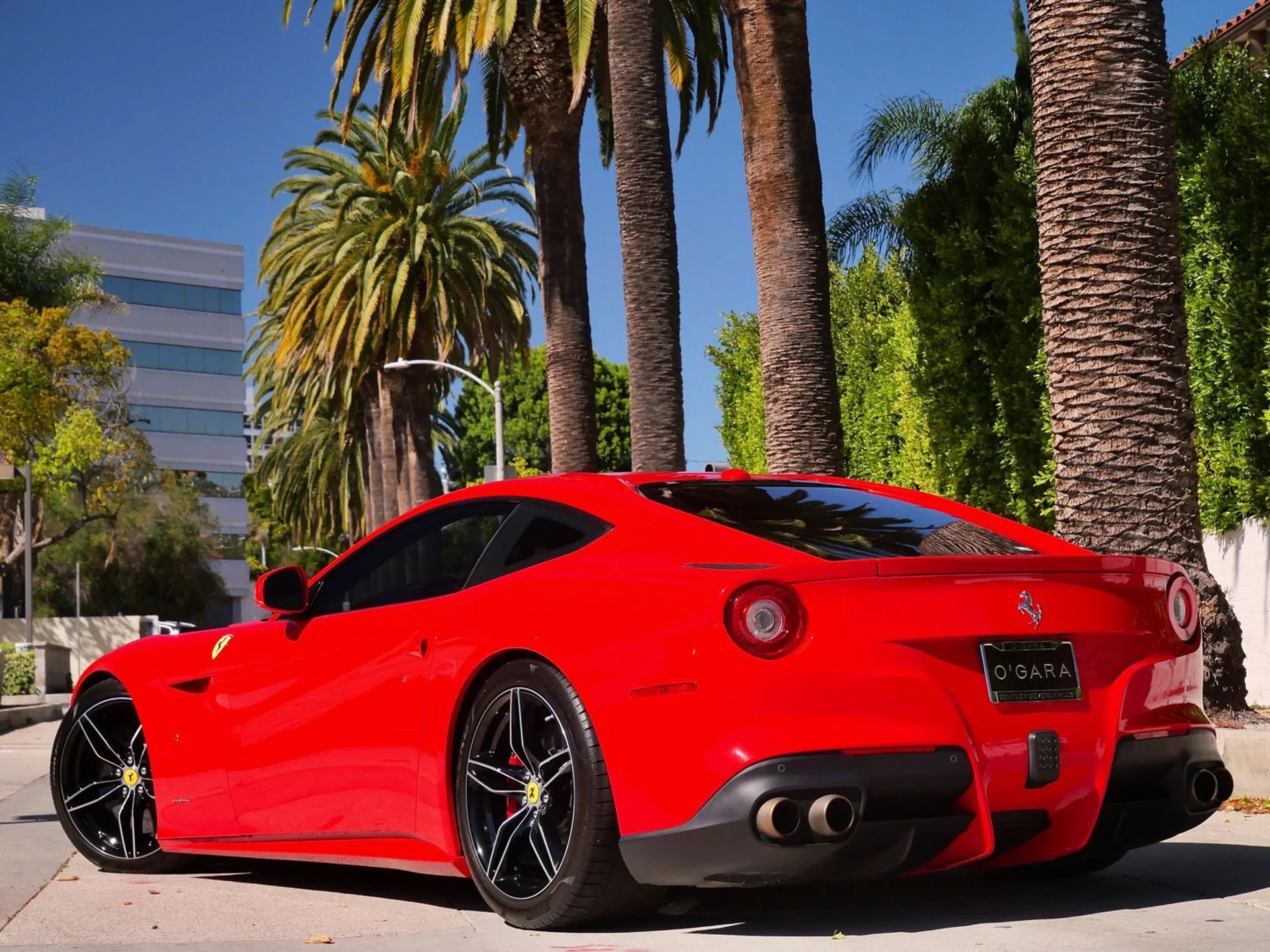 mph006_1569409233_082ebf6868f850c4079ef7fad81fd21dx_13af1b4191