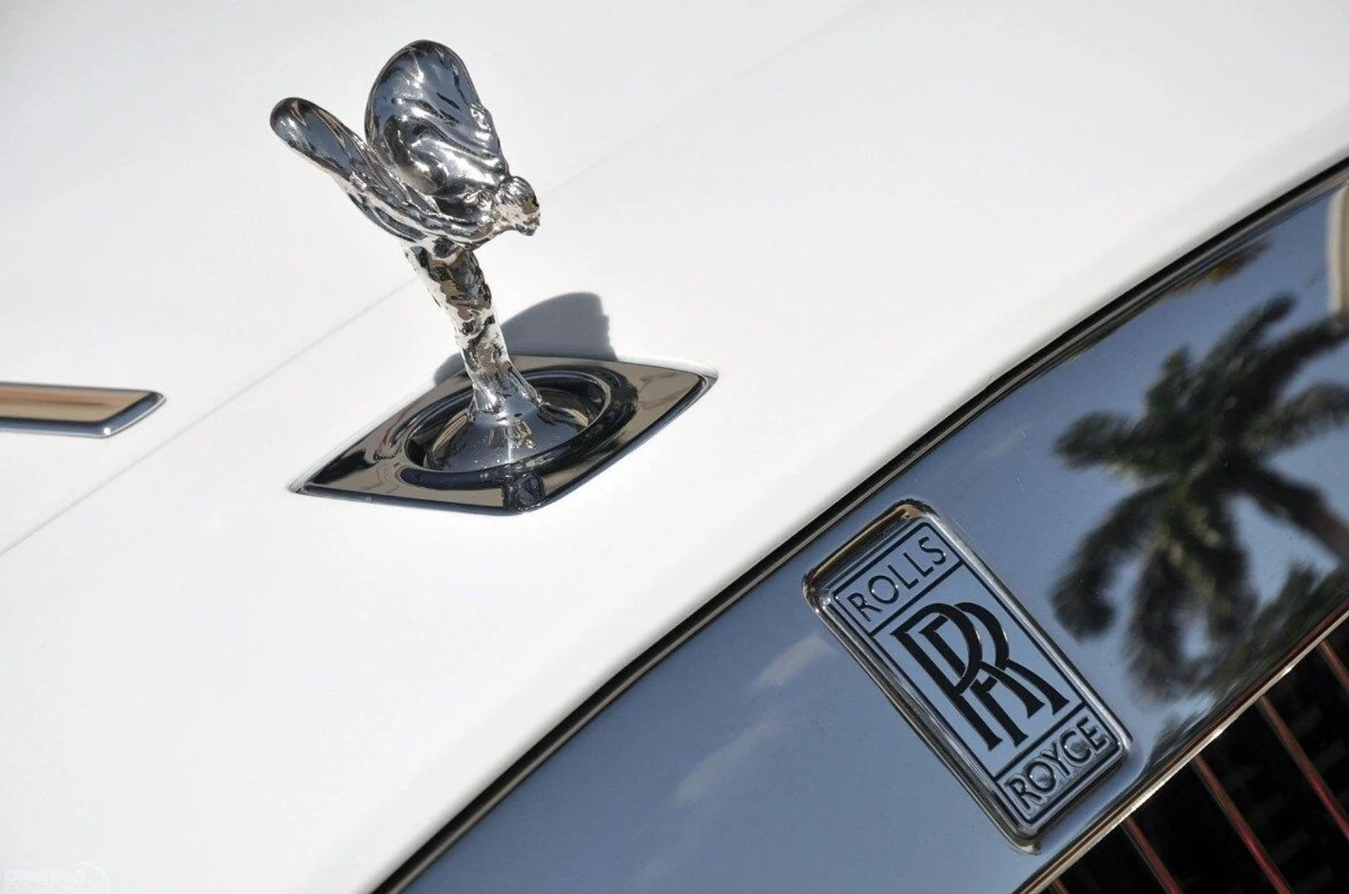 mph006_1571752325_7e1988e49091220e0d0199f344609875x_40dac6e566