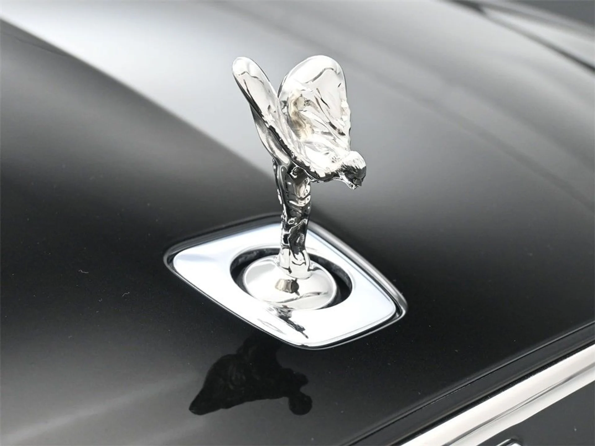 mph006_1586330836_9845912c96e3fc7345690af34d3a1644x_6ee1c4fba4