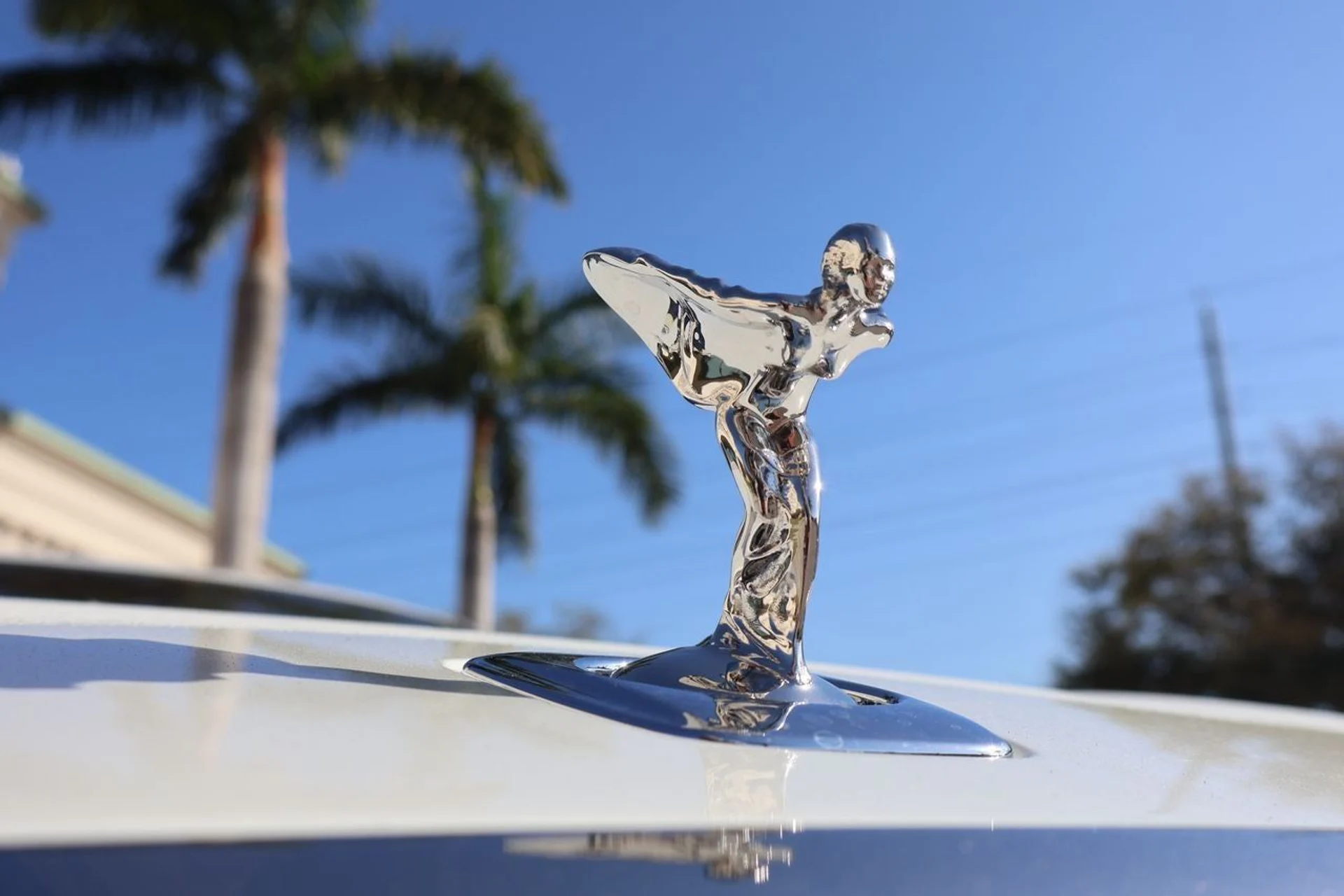 mph006_1587811286_7_ccc8b6ed0b