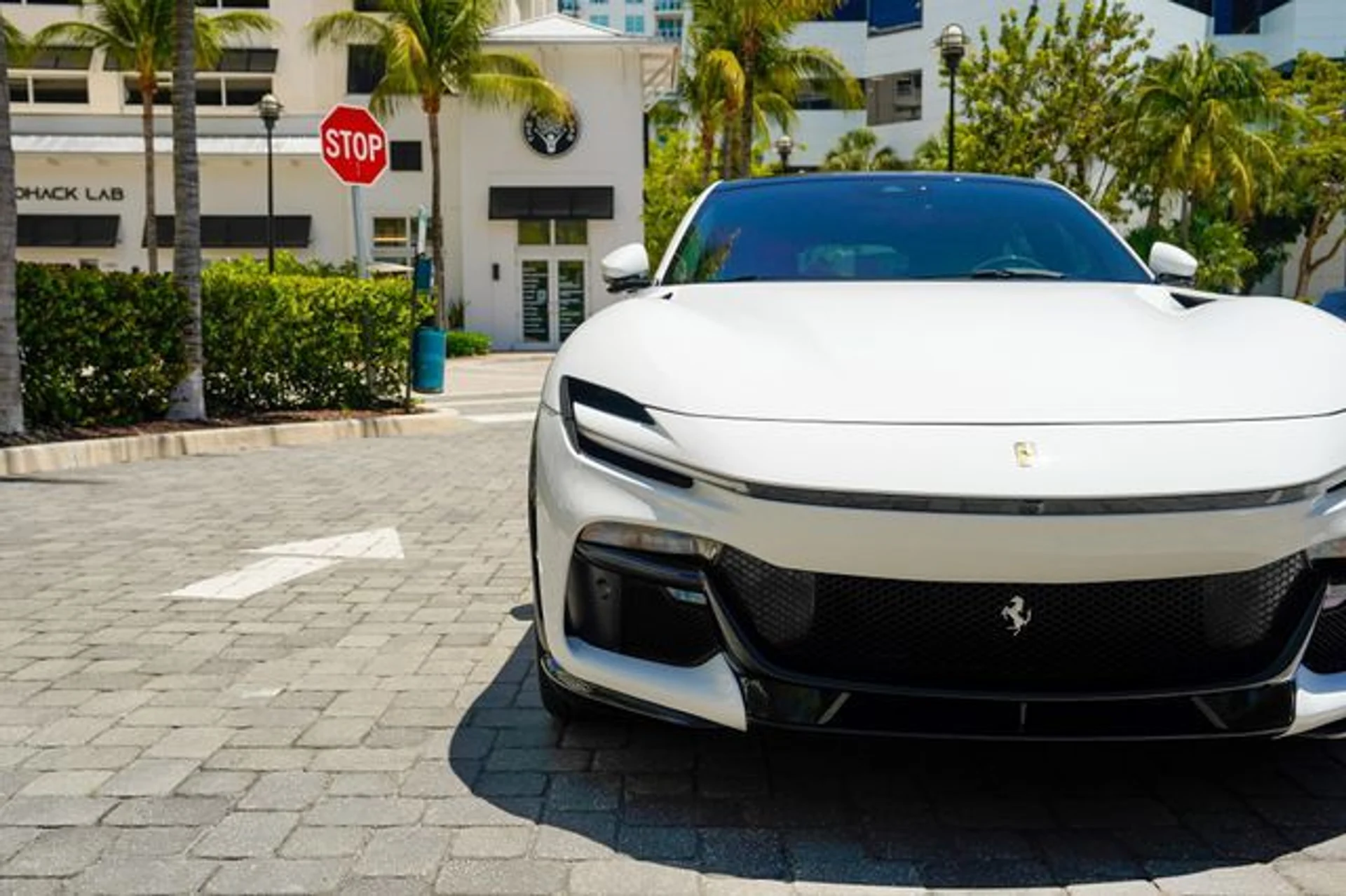 mph006_1603135095_23015679_7_29d7ef0537