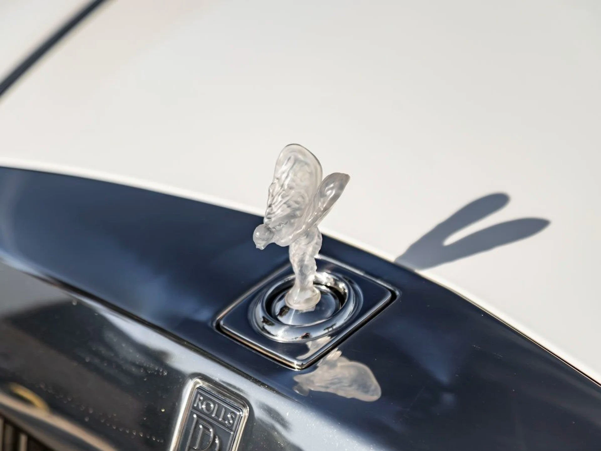 mph006_1615405575_7_f9e0391736