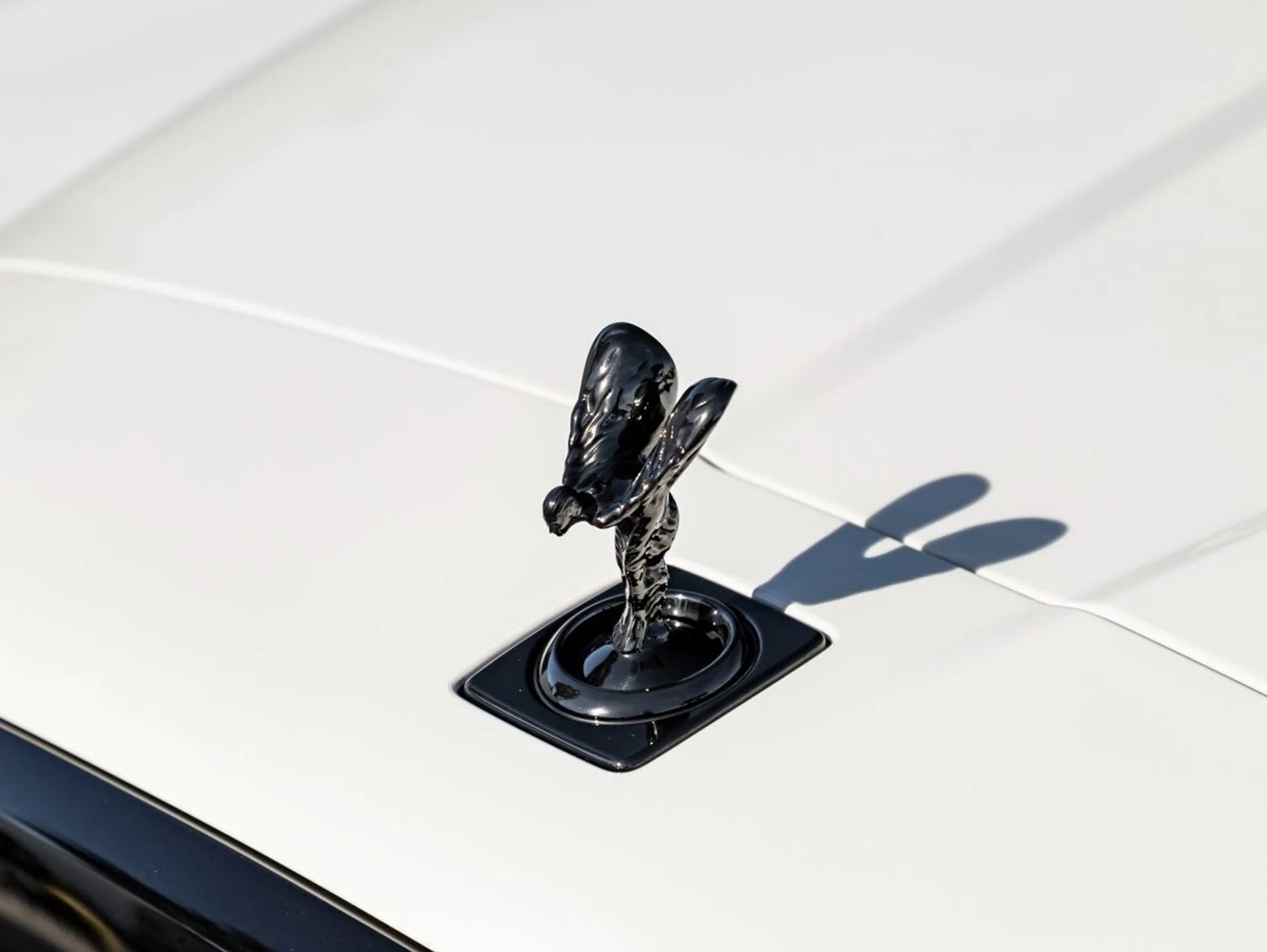 mph006_1640029448_7_7385cb05fd