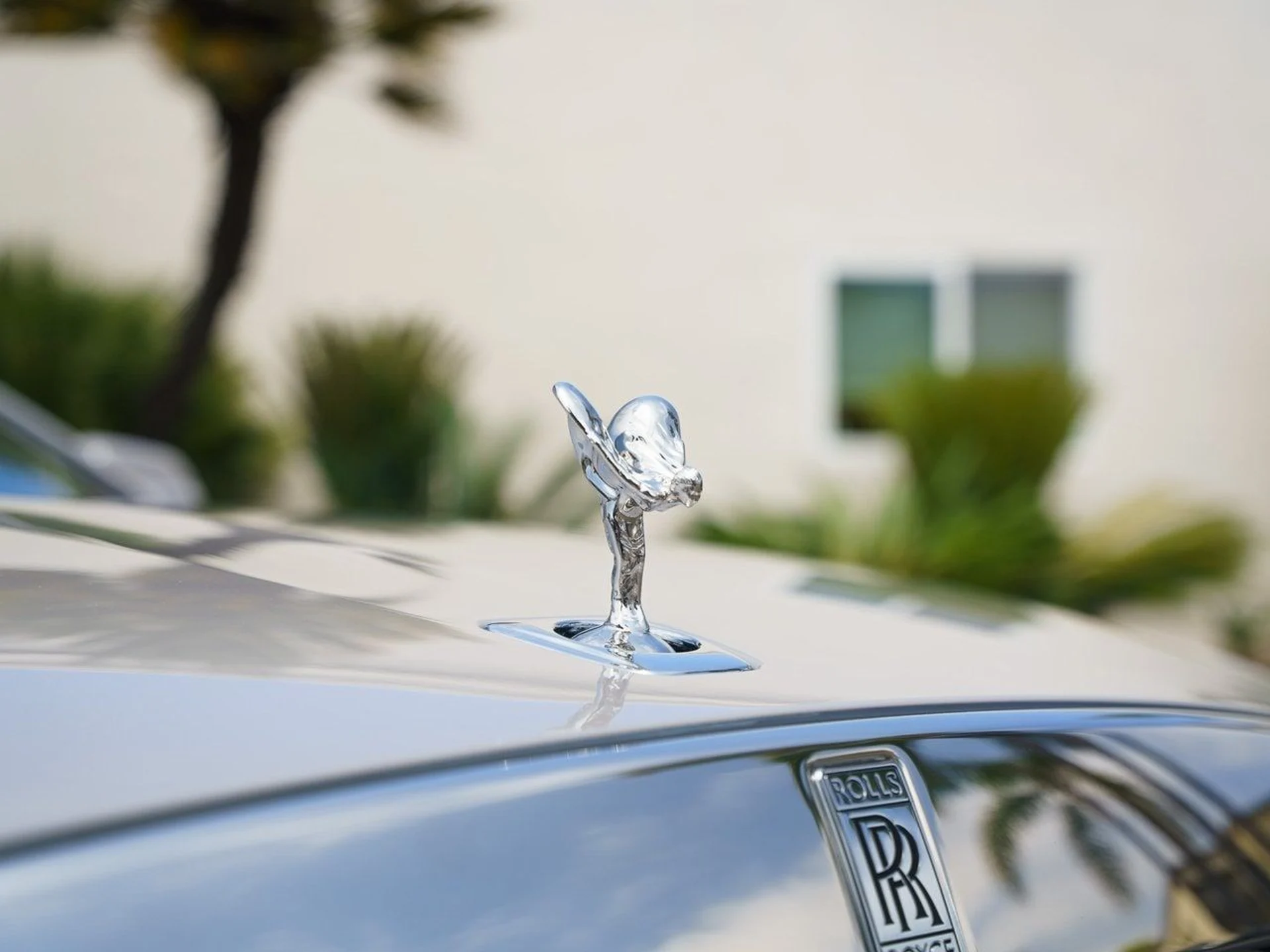 mph006_1675092004_bec8756b73b82d5e72b017c0ef092f17x_6c5fc02bd2