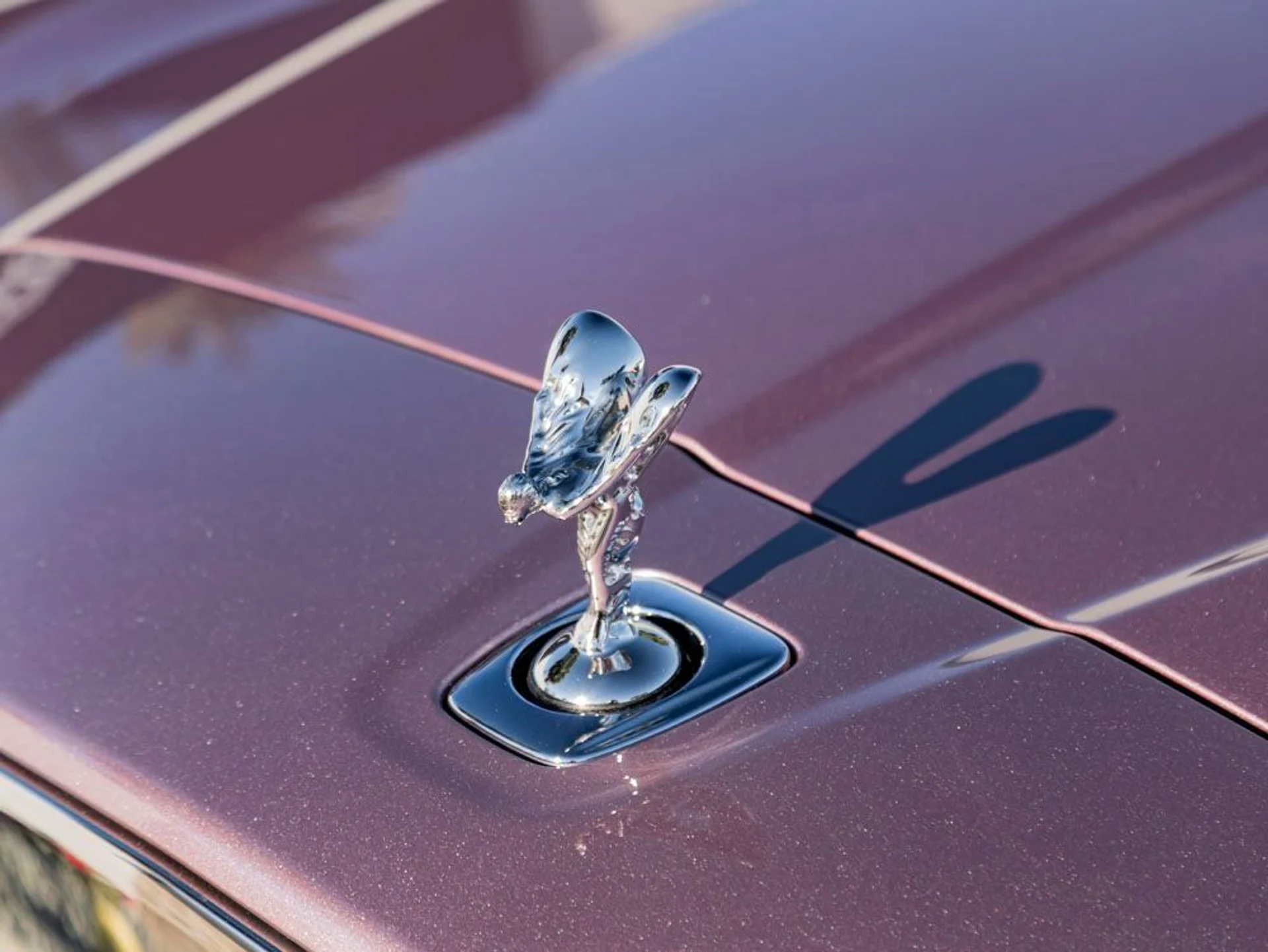 mph006_167900692_7_f2427c182d