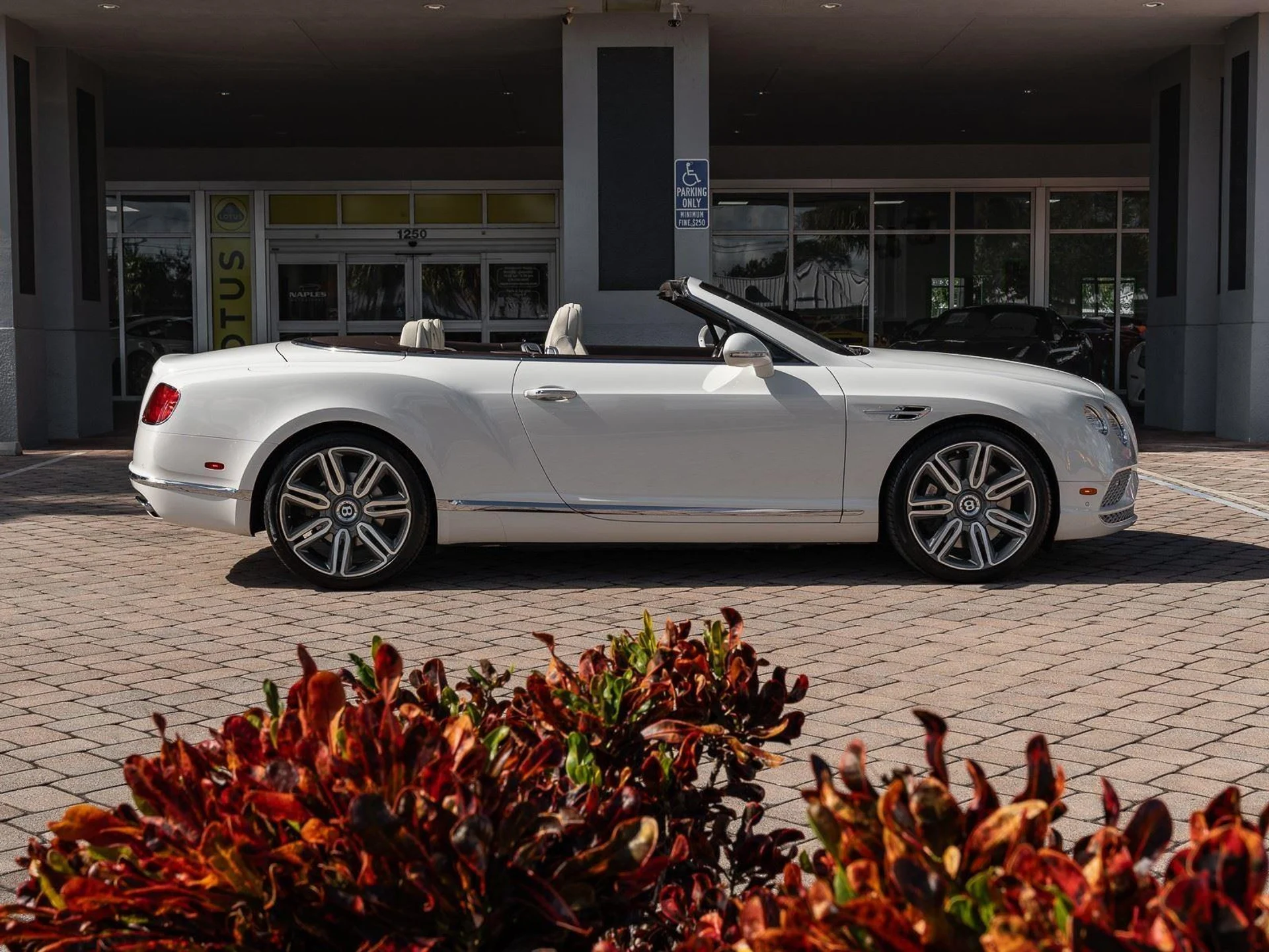 mph006_1692107792_Used_2018_Bentley_Continental_GT_1767952840_eb5b2e72f9