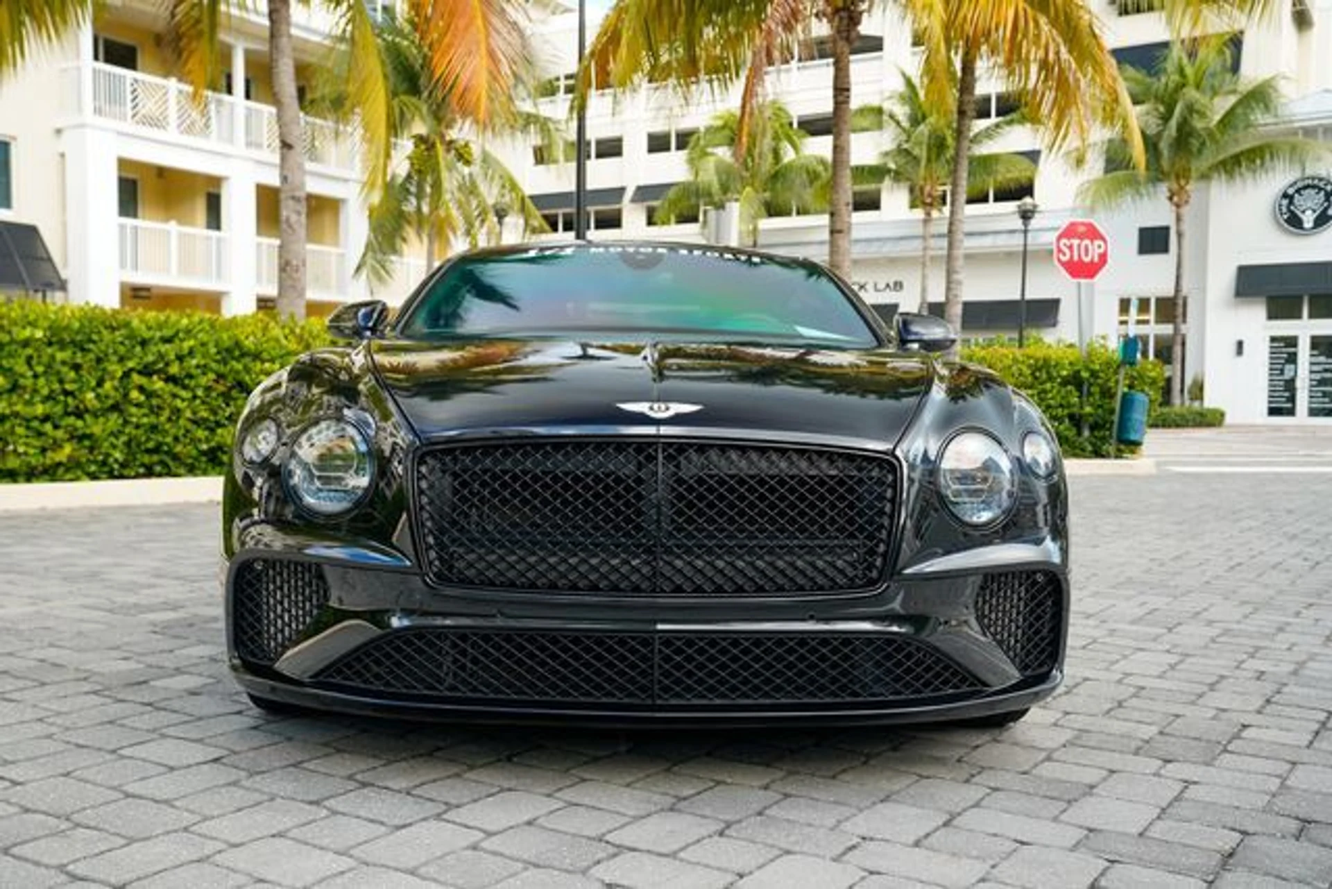 mph006_1711386681_22959392_7_1276493ad3